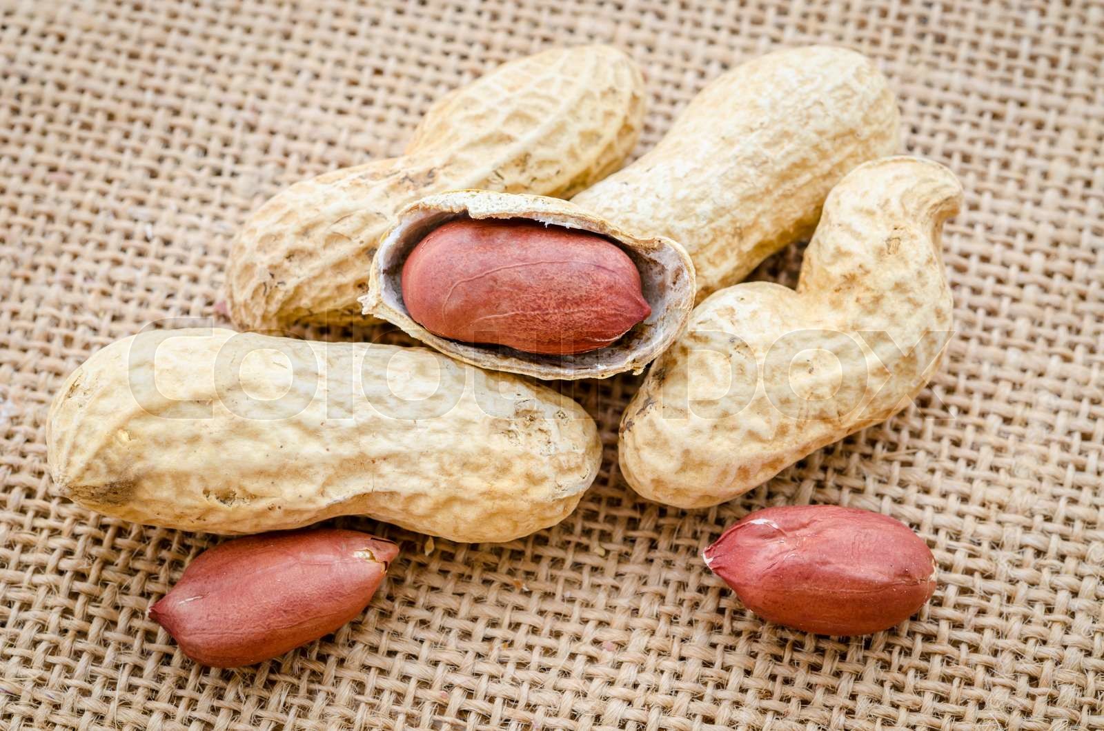 Peanuts in shells. Stock image Colourbox