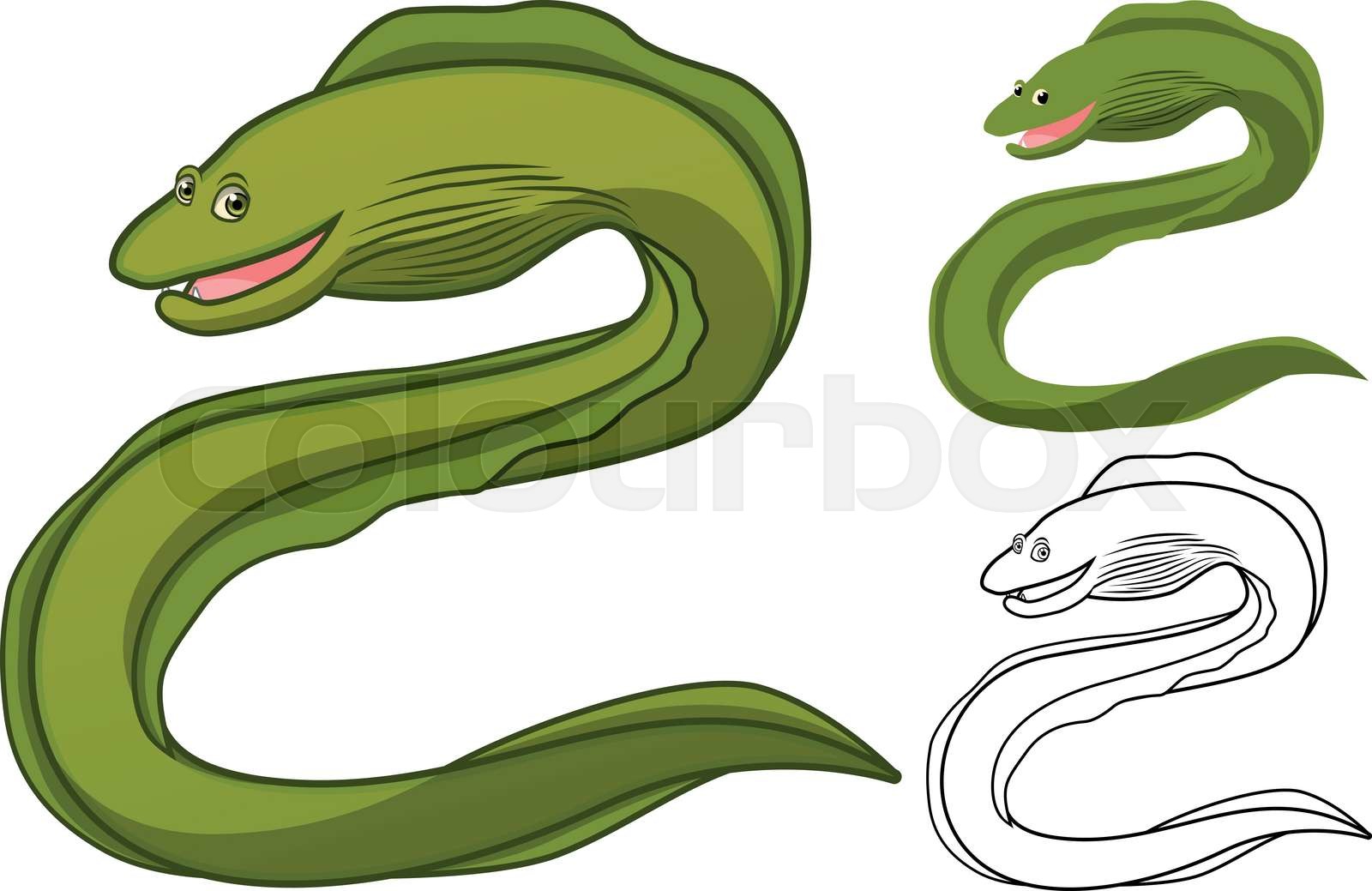 High Quality Moray Eel Cartoon Character | Stock vector | Colourbox