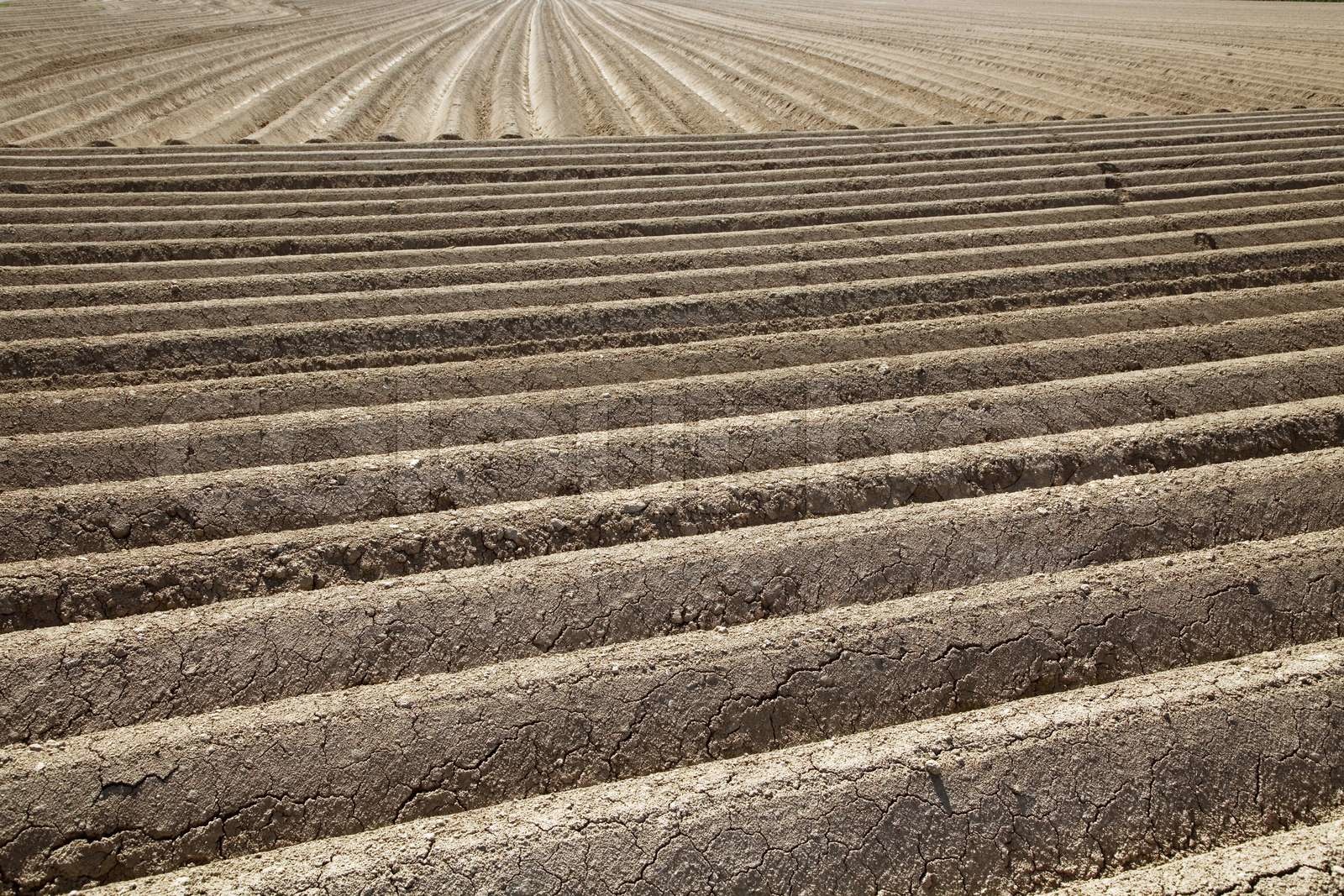 Ein frisch gepflügten Acker in der Landwirtschaft. | Stock Bild | Colourbox