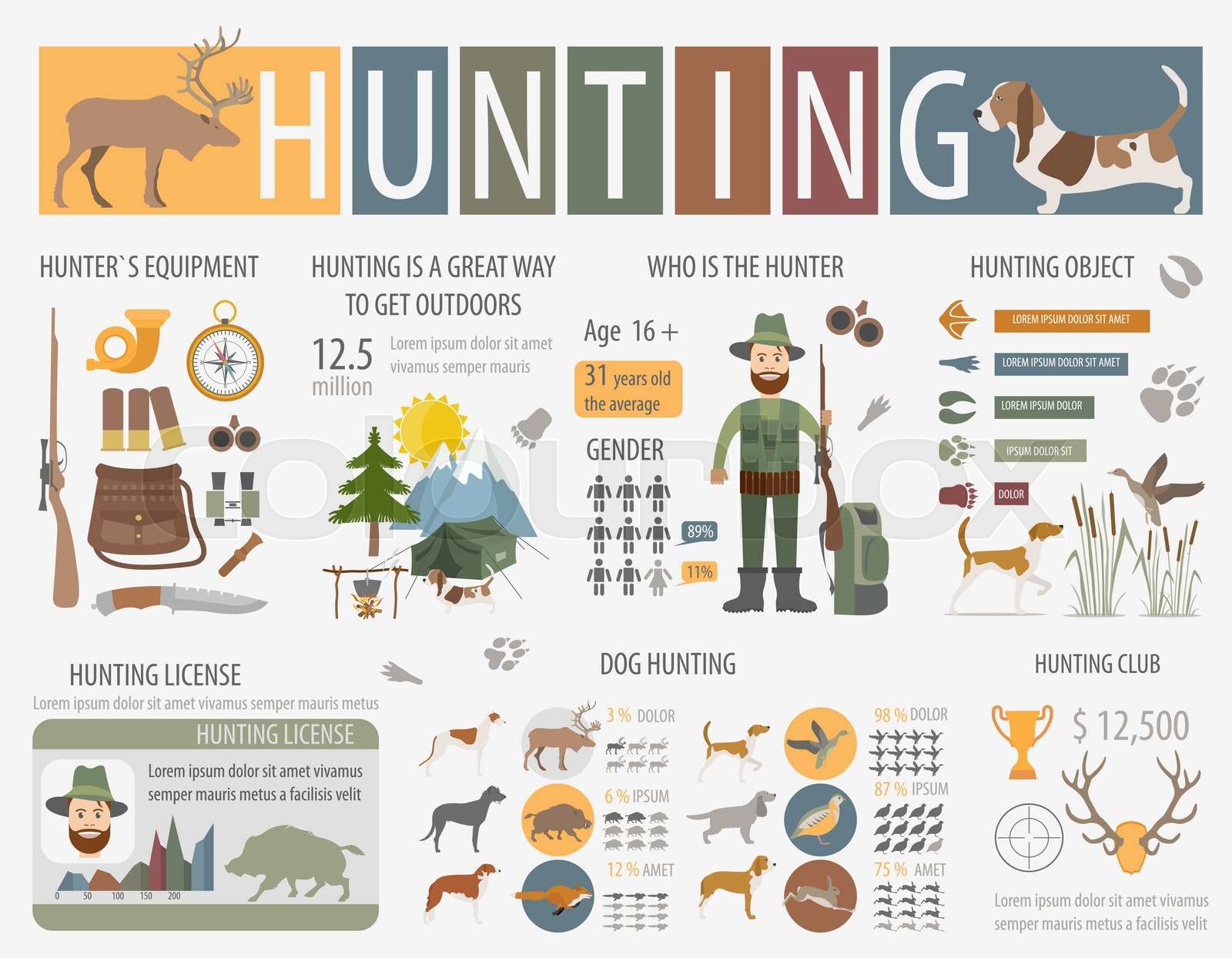 Hunting infographic template. Dog hunting, equipment, statistical data
