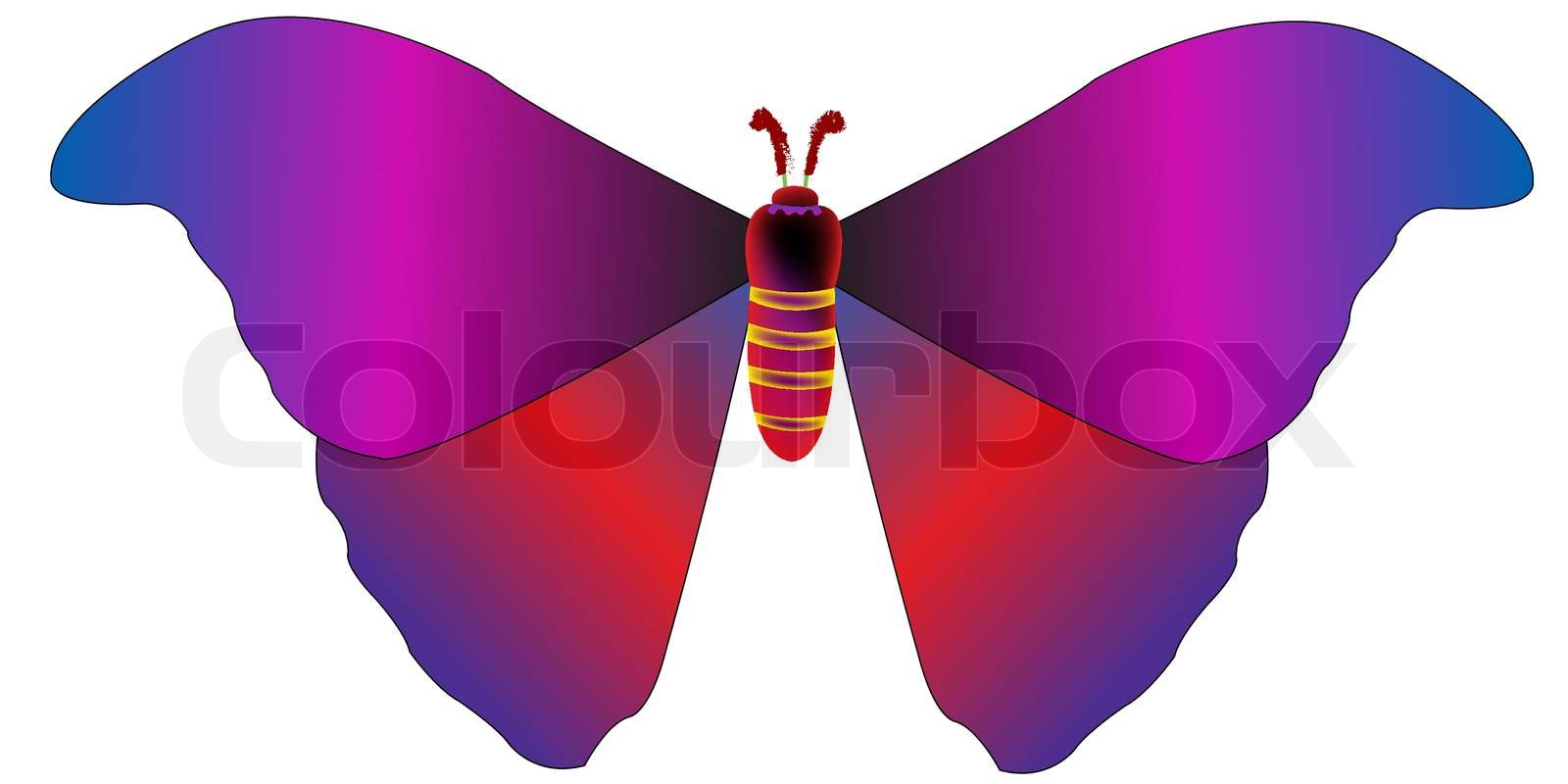 Zeichnung eines Schmetterlings , Vektorillustrationen | Stock-Vektor