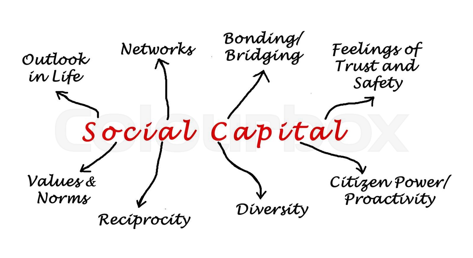 Diagram of Social Capital Stock image Colourbox
