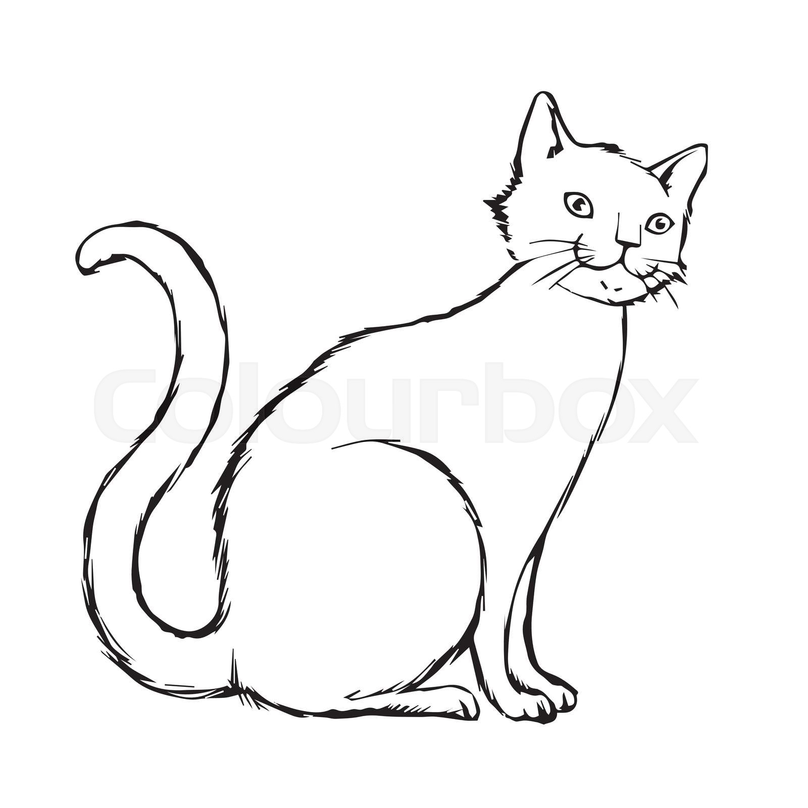cat hand drawn | Stock vector | Colourbox