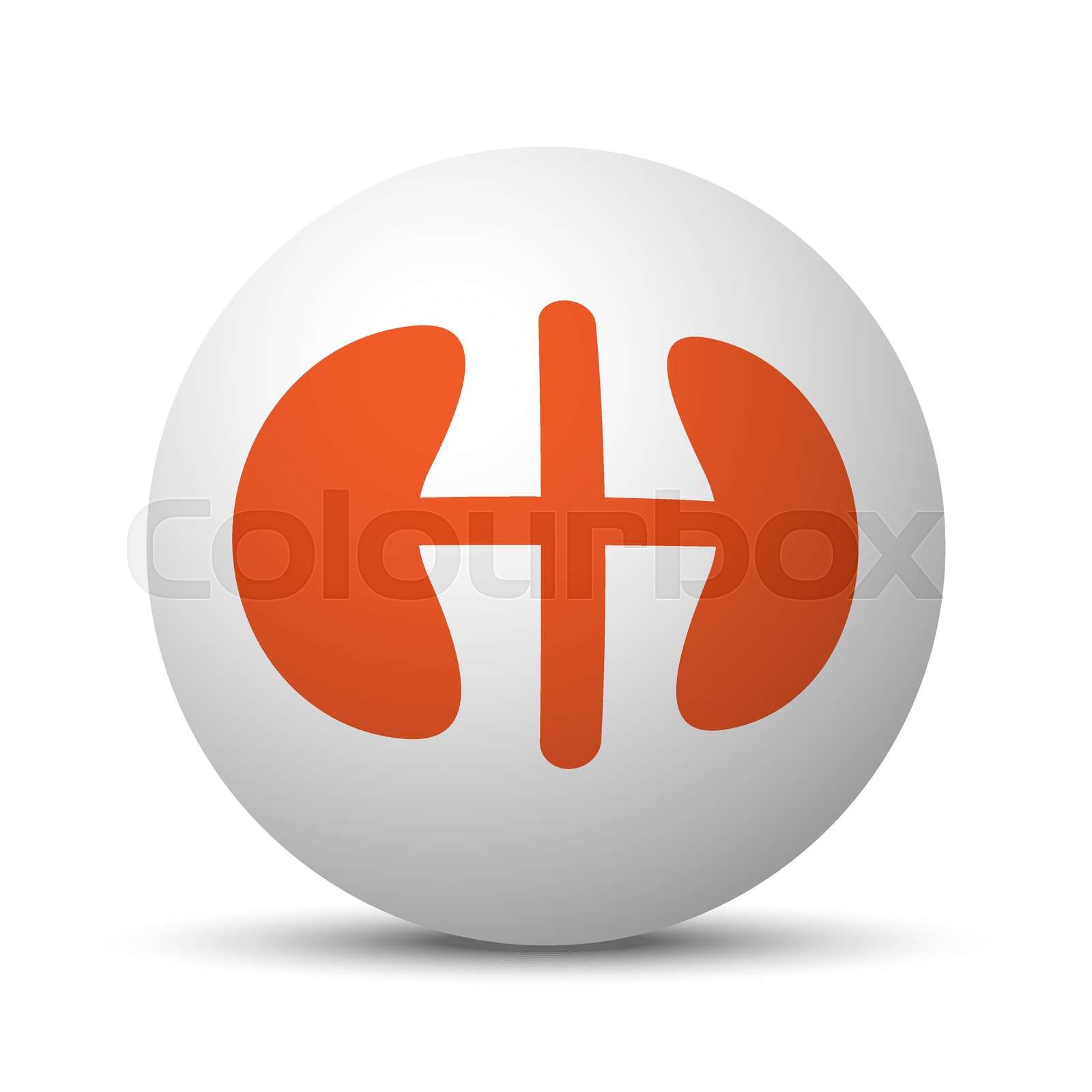 Orange Kidneys icon on white ball Stock vector Colourbox