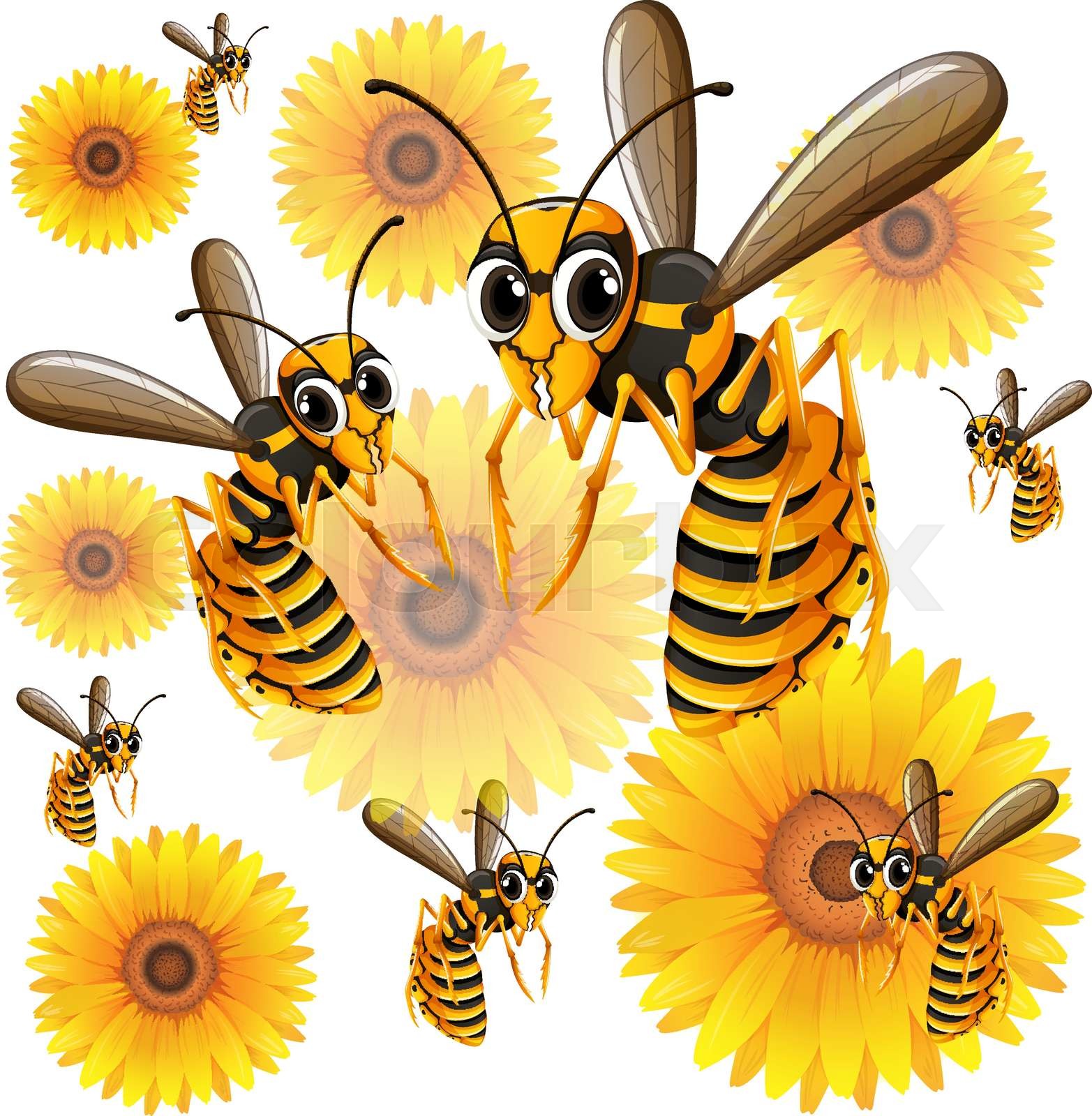 wildlebend, biene, zeichnung | Stock-Vektor | Colourbox