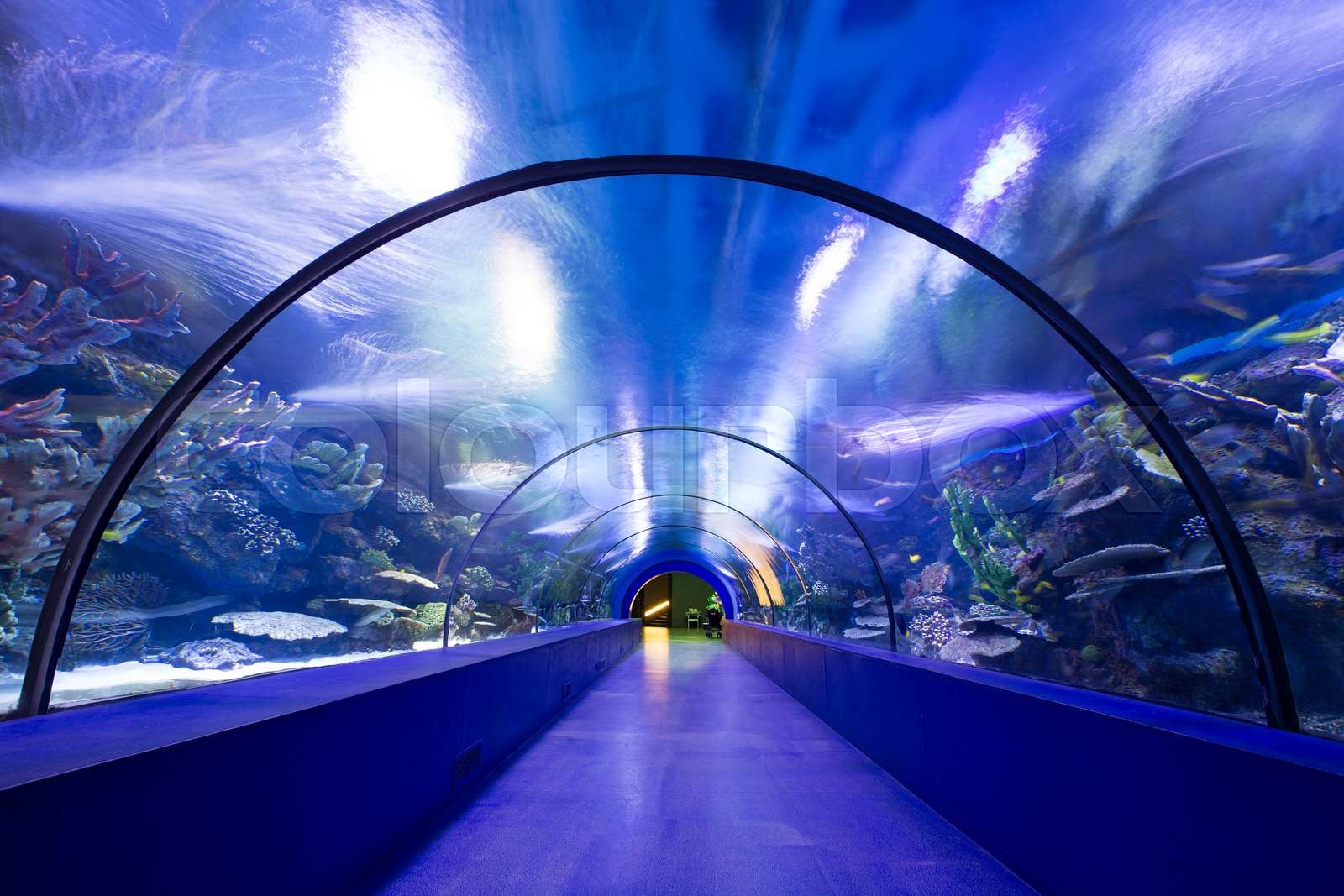 Underwater Tunnel Stock Image Colourbox Underwater Tunnel Stock Image Colourbox