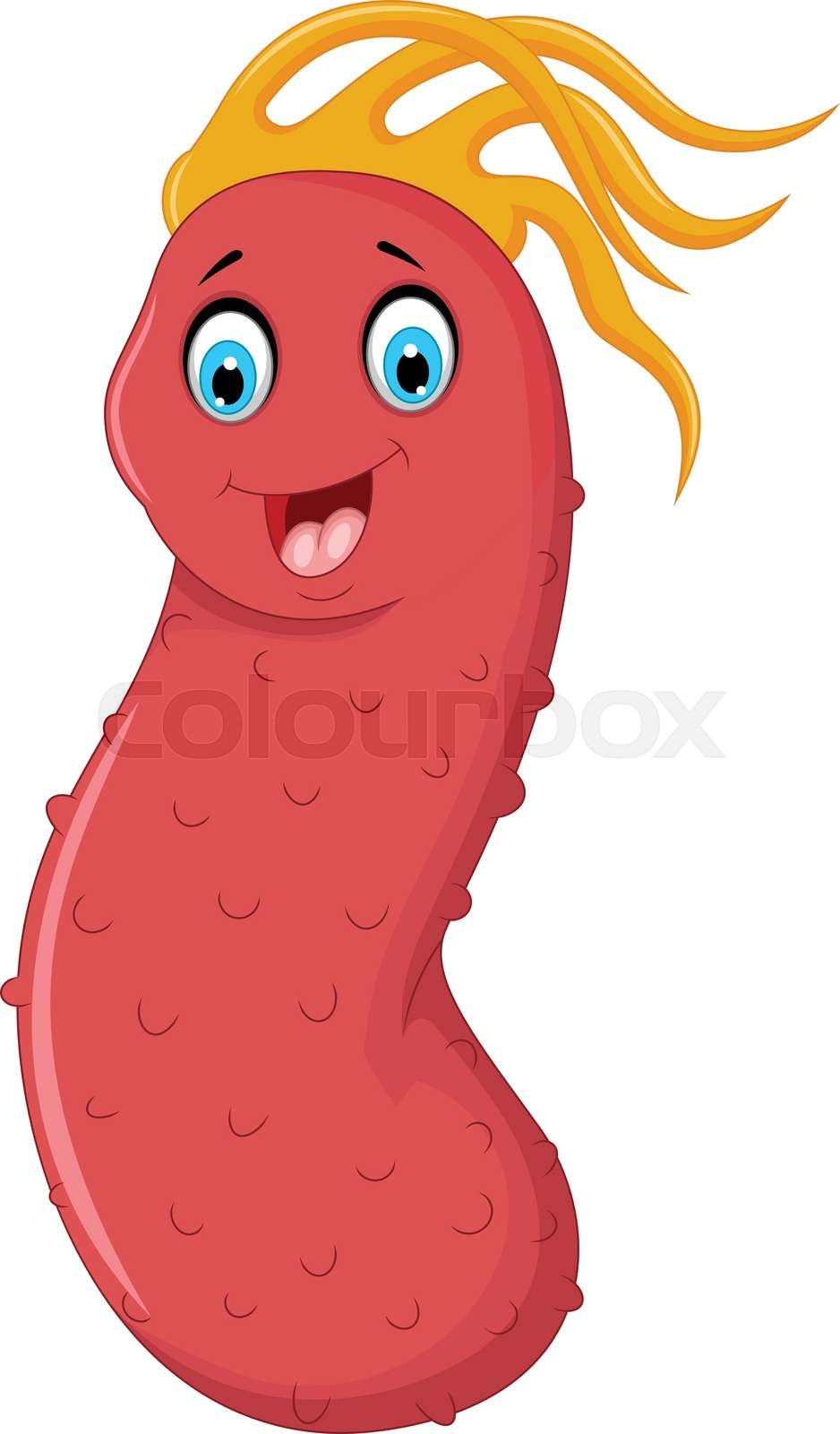 cute sea cucumber cartoon posing Stock vector Colourbox