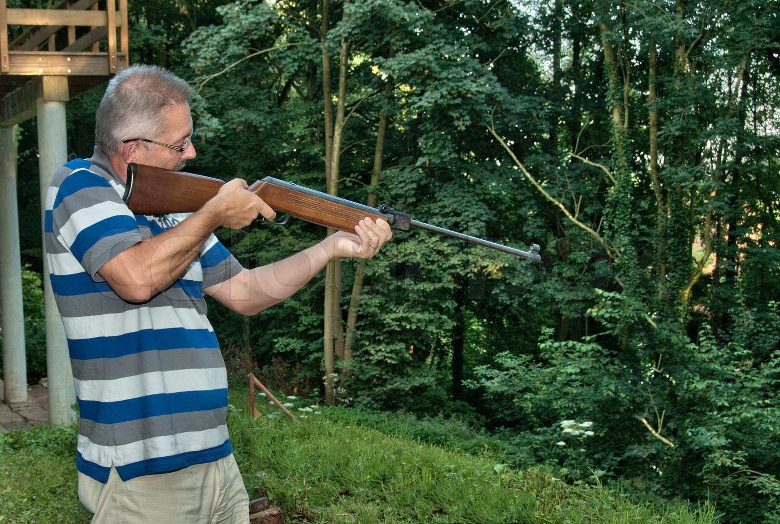 man shooting in the forest with a gun Stock image Colourbox