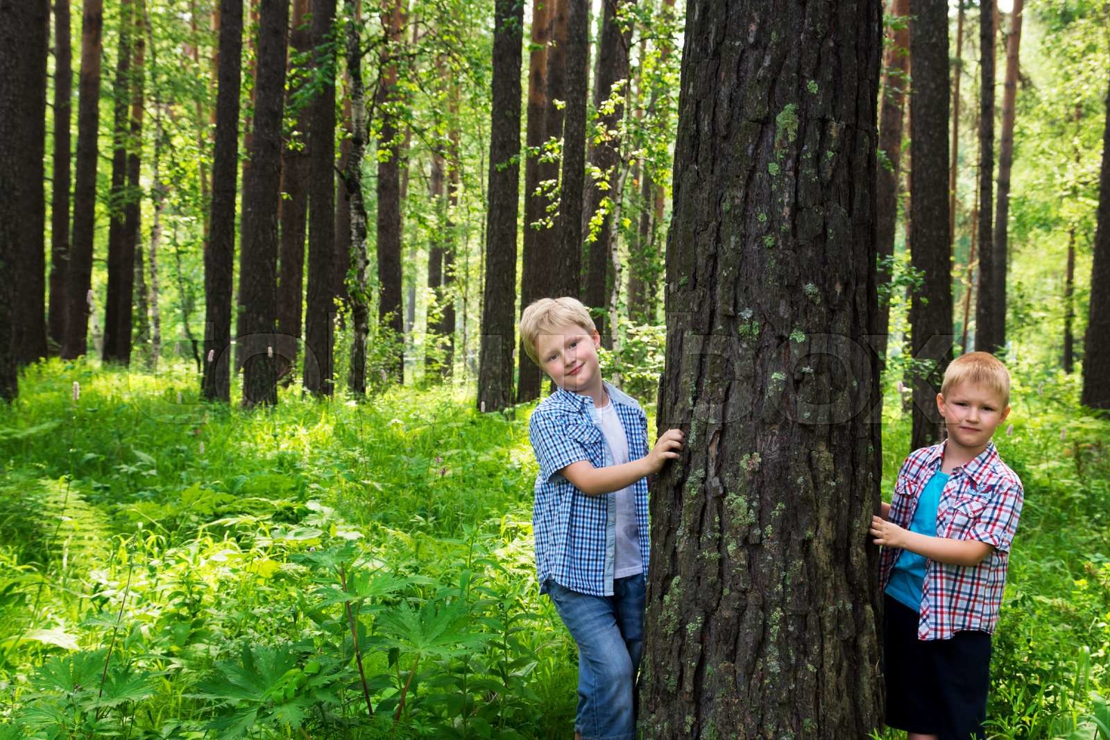 Children in forest | Stock image | Colourbox