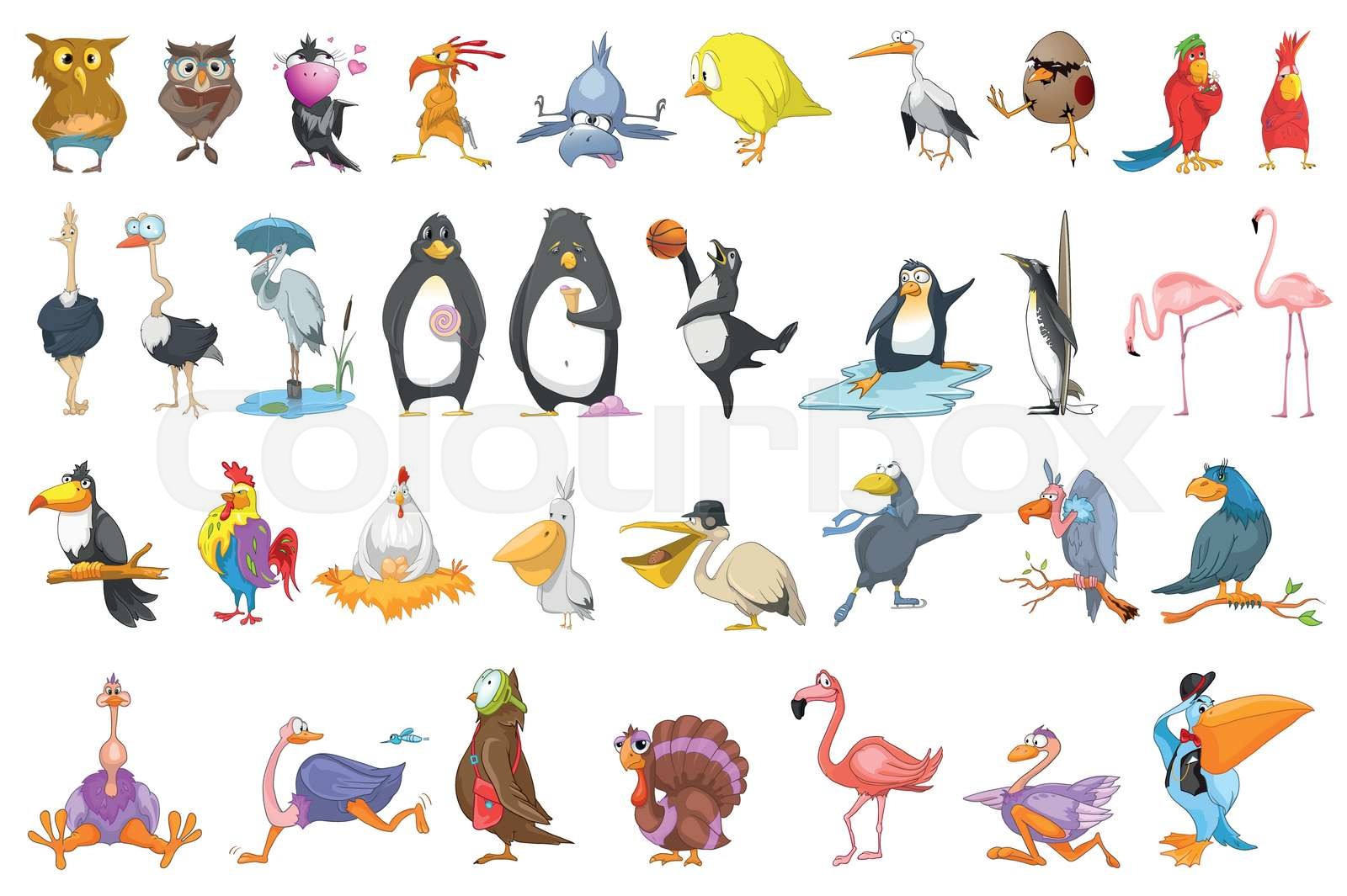 Vector set of various birds illustrations. | Stock vector | Colourbox