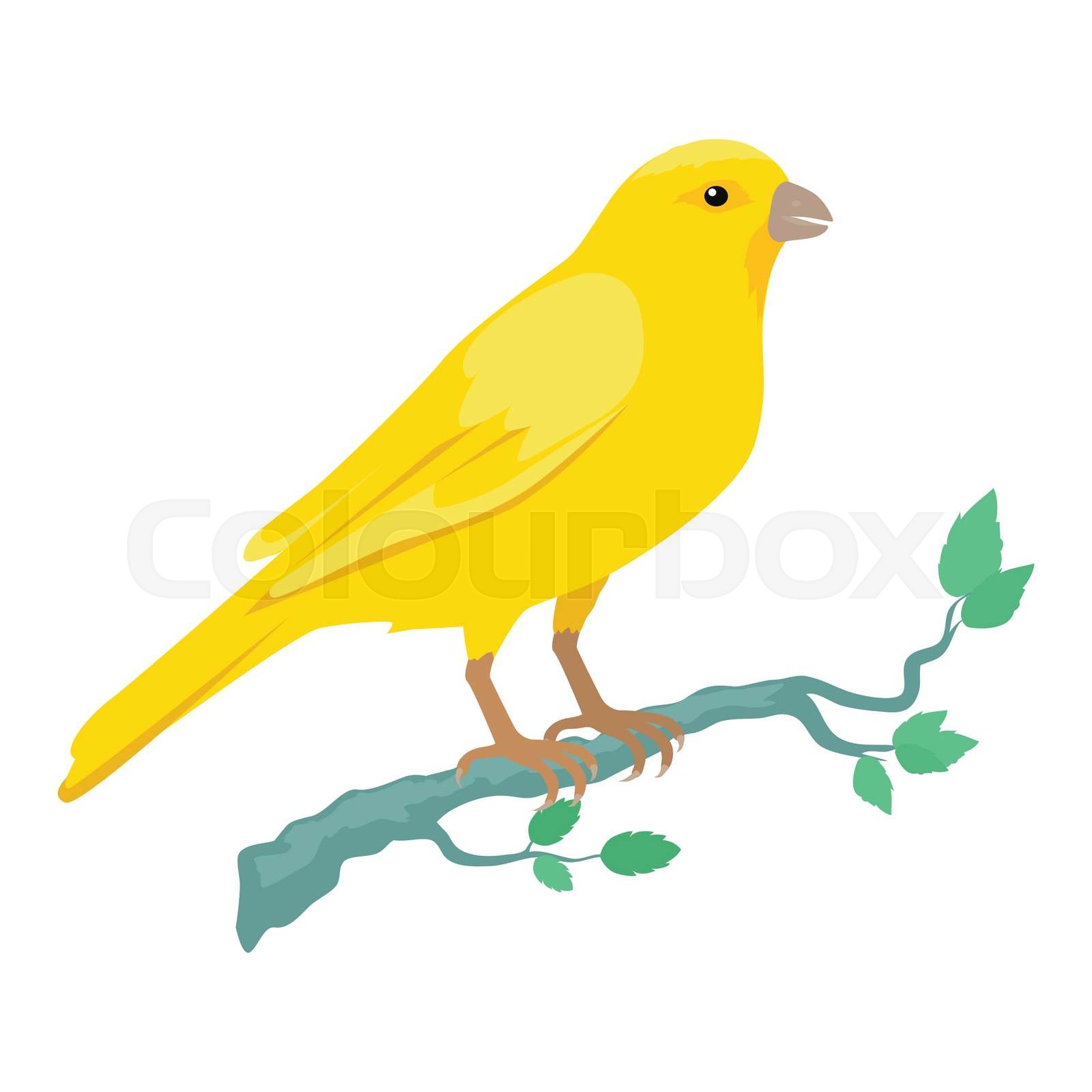 Canary Flat Design Vector Illustration | Stock vector | Colourbox