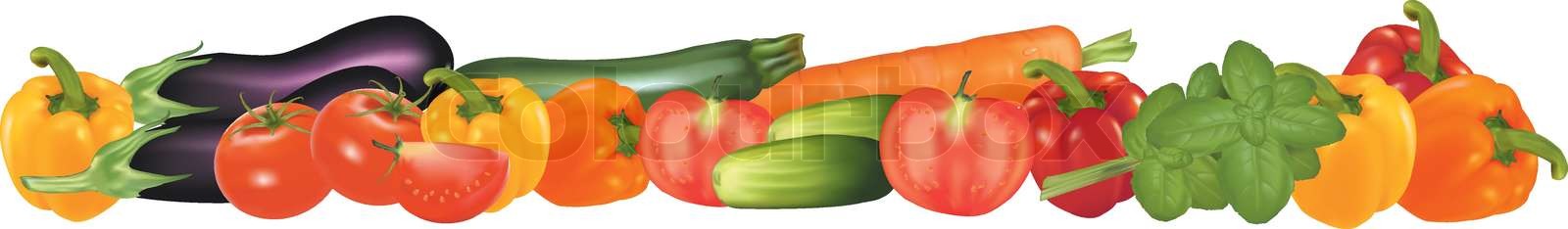 Vegetables design border isolated on white. Photo-realistic vector ...