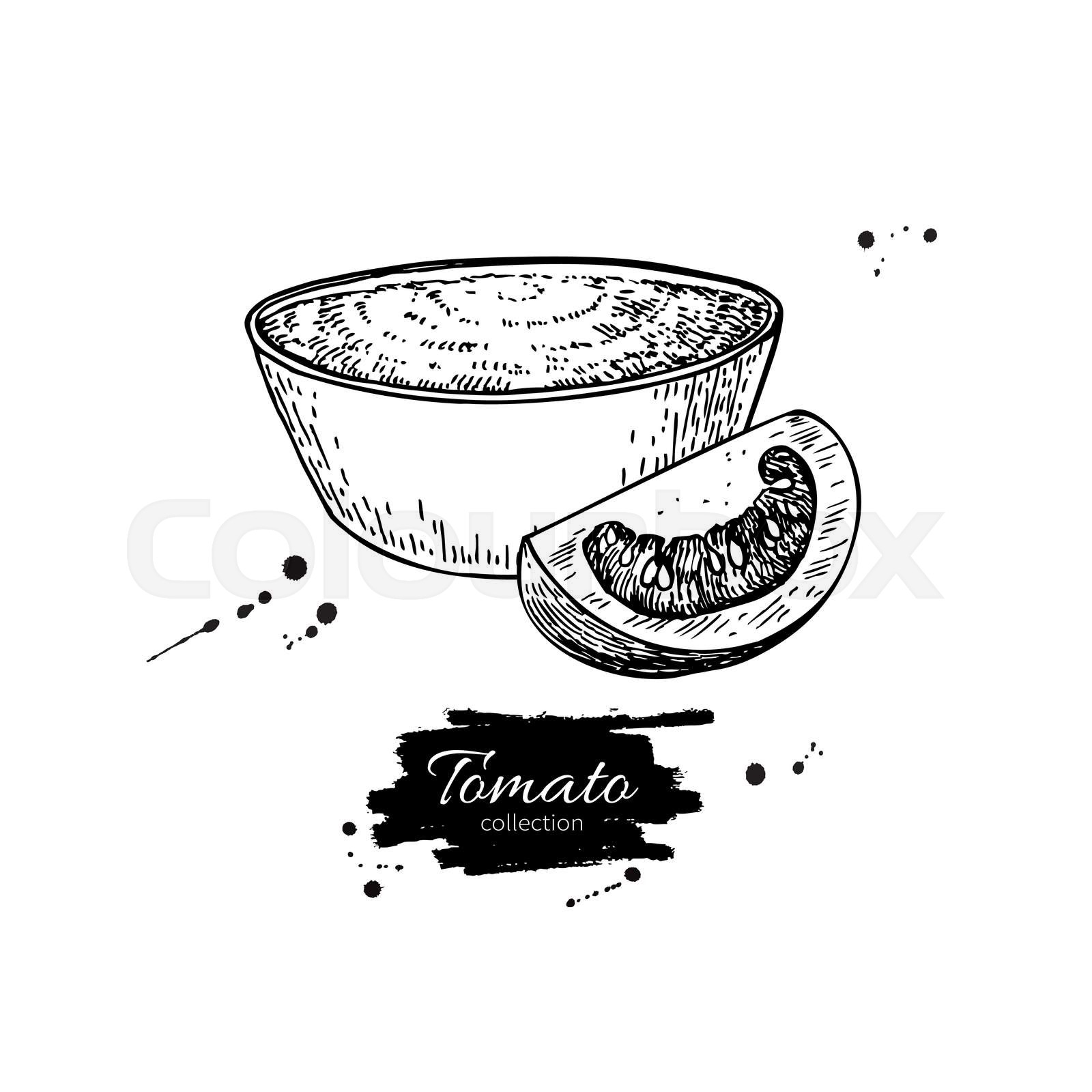 Tomato sauce Drawing. Vector isolated illustration with bowl ful
