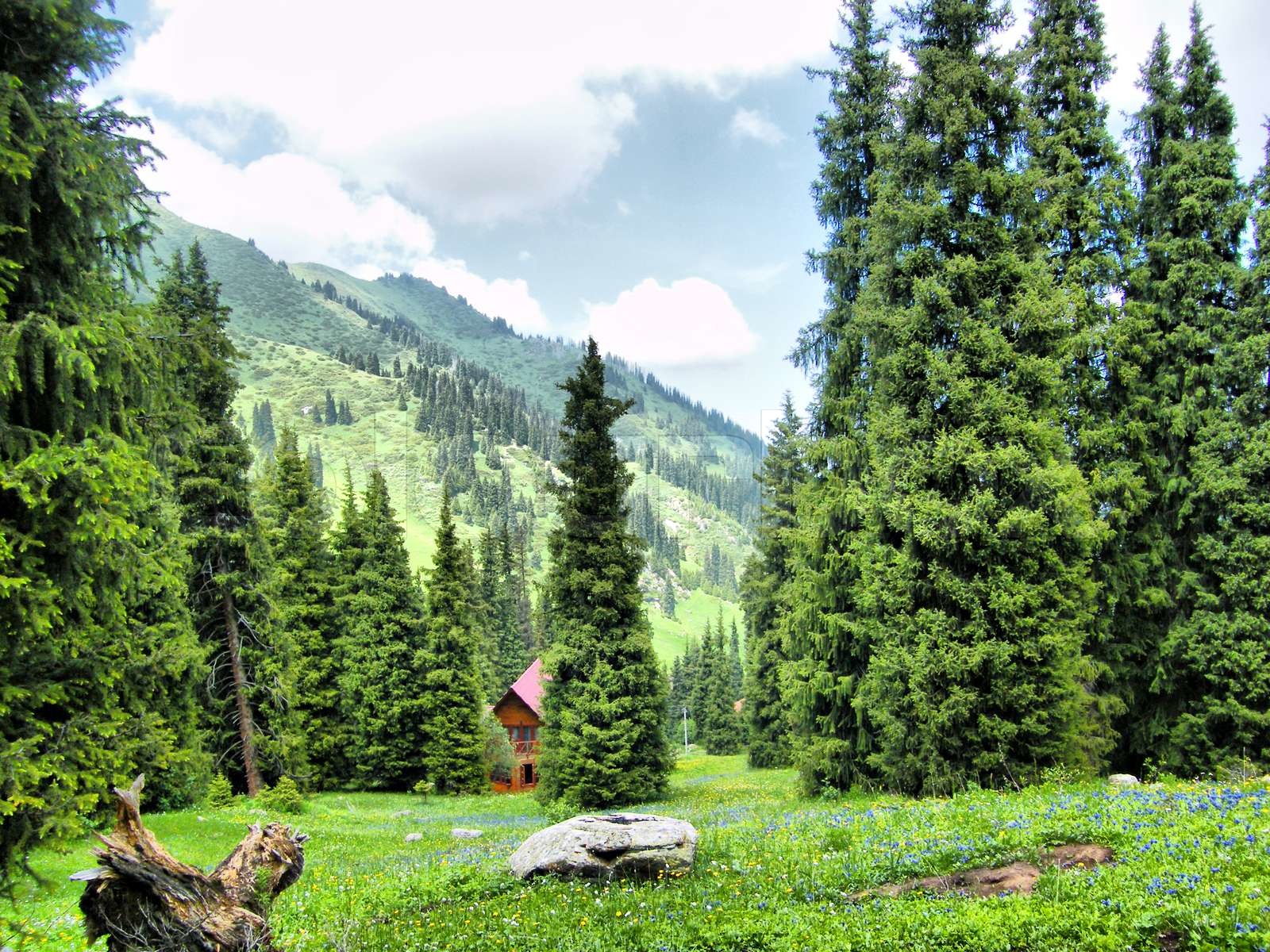 Berglandschaft Stock Bild Colourbox