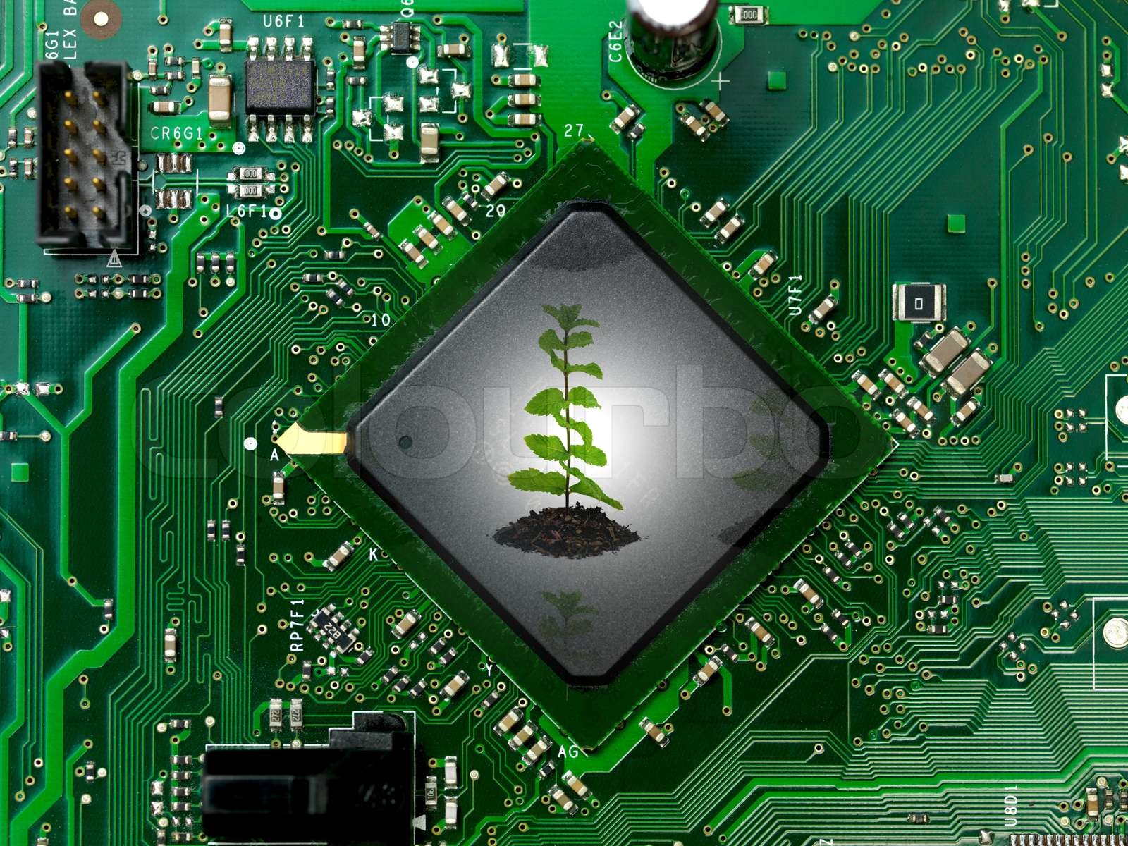 Ein Computer -Chip auf einer Hauptplatine | Stock Bild | Colourbox