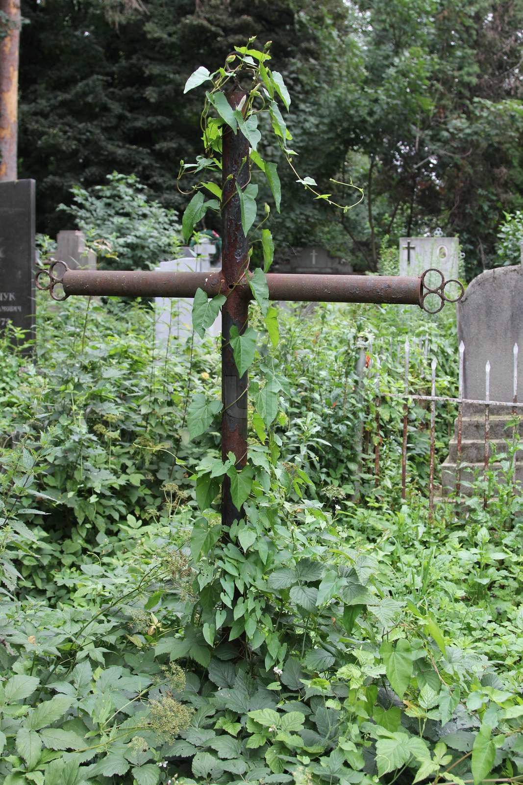 Gravestone cross | Stock image | Colourbox