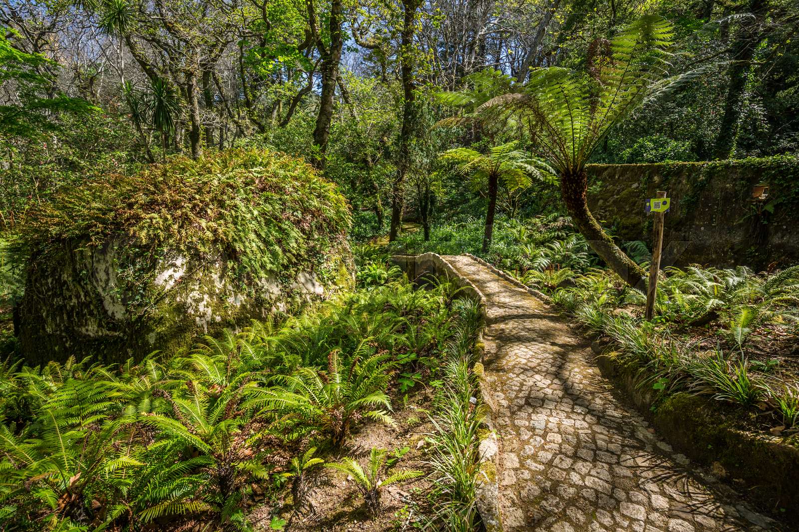 garden of eden garden located in Sintra, Portugal Stock image Colourbox