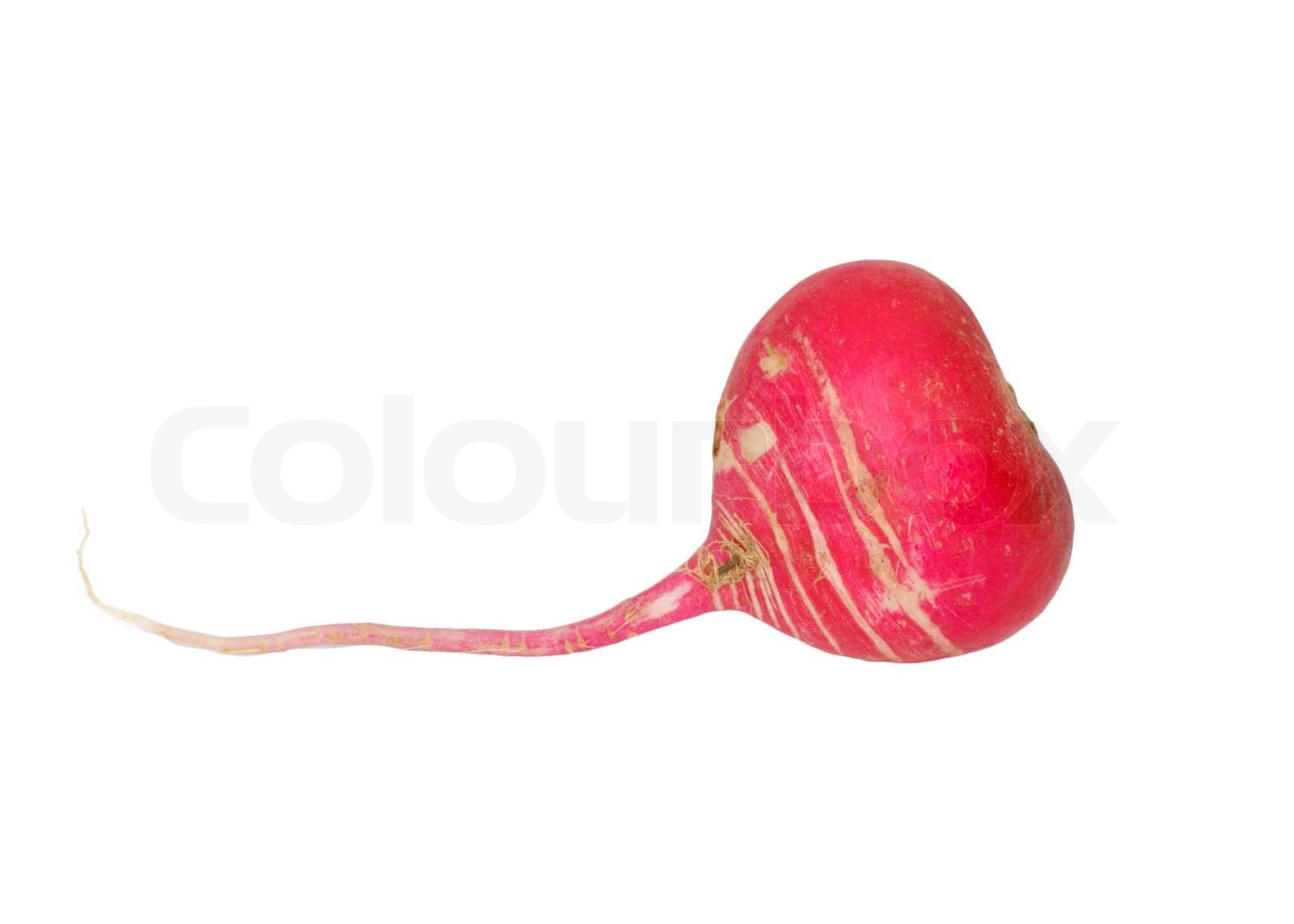 Rettich isoliert auf weiß | Stock Bild | Colourbox