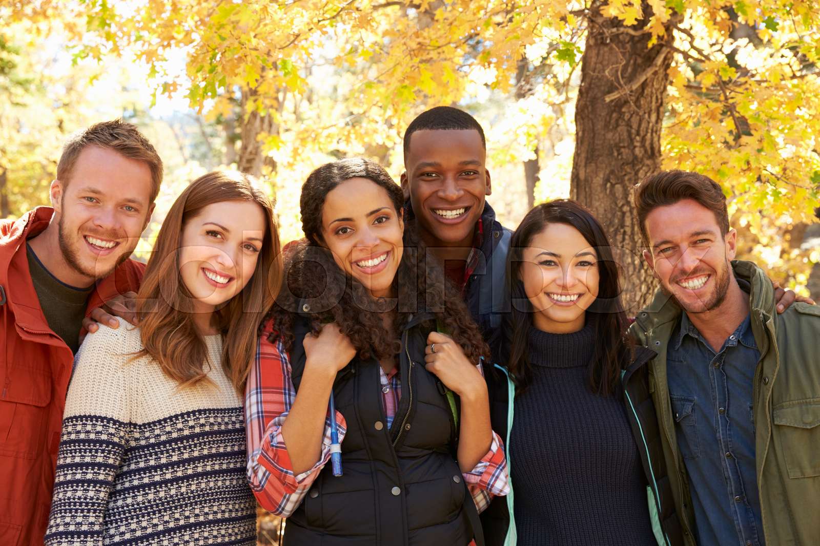 Group portrait of six happy friends in a forest setting | Stock image ...