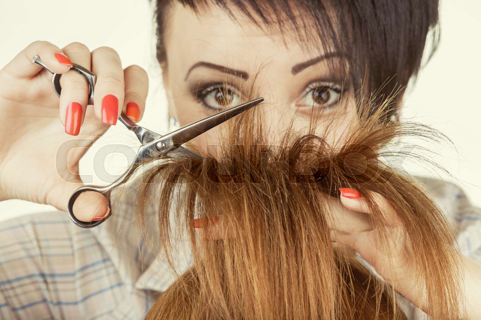 Haircut Stock Image Colourbox Haircut Stock Image Colourbox