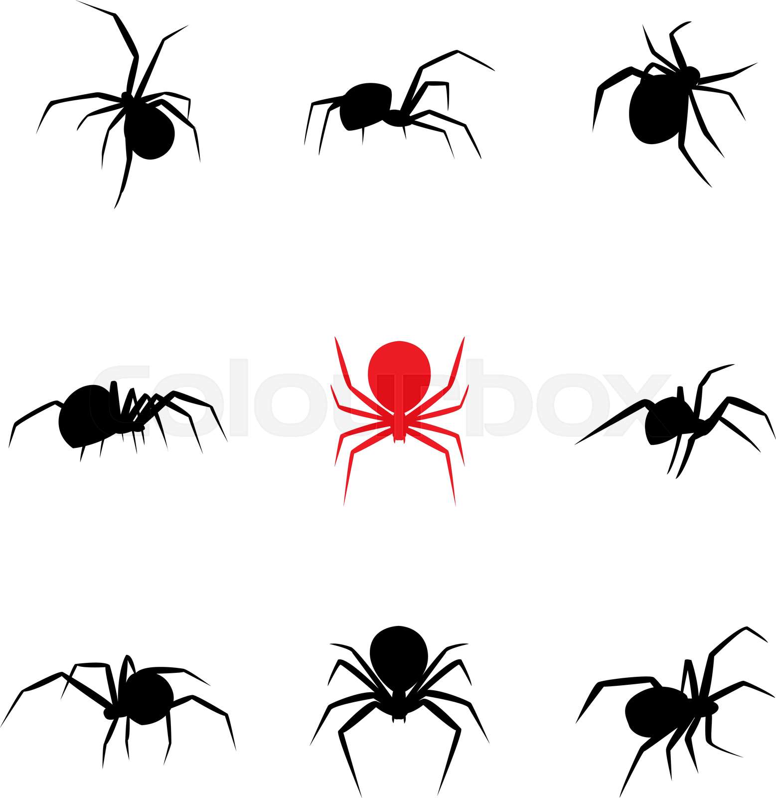 Black Widow Spider Stencil