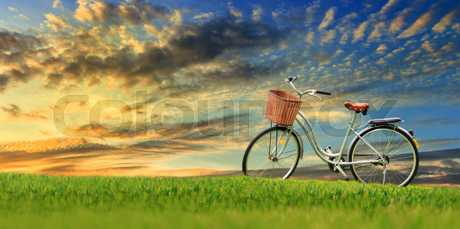 best bike for riding on grass
