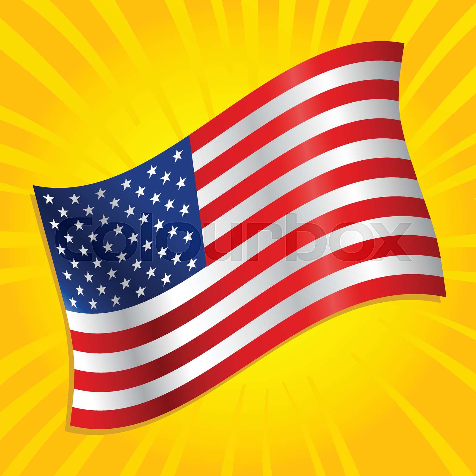 American flag vector icon Stock vector Colourbox