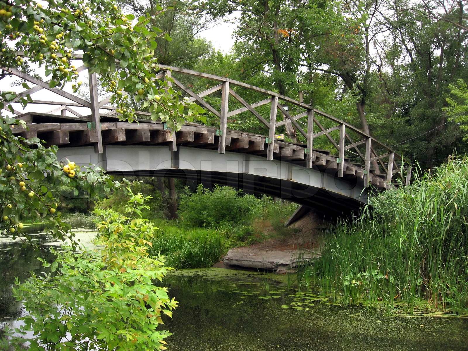 large wooden bridge over the river, landscape | Stock image | Colourbox