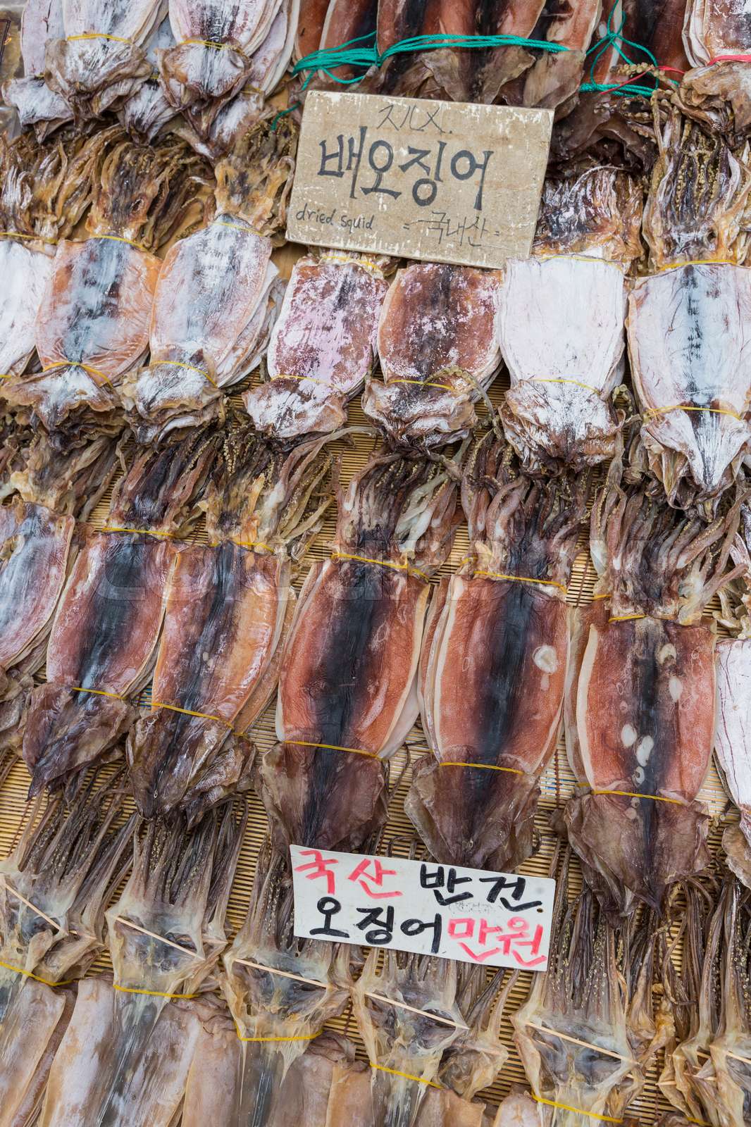 Dried squid in at market in Korea | Stock image | Colourbox