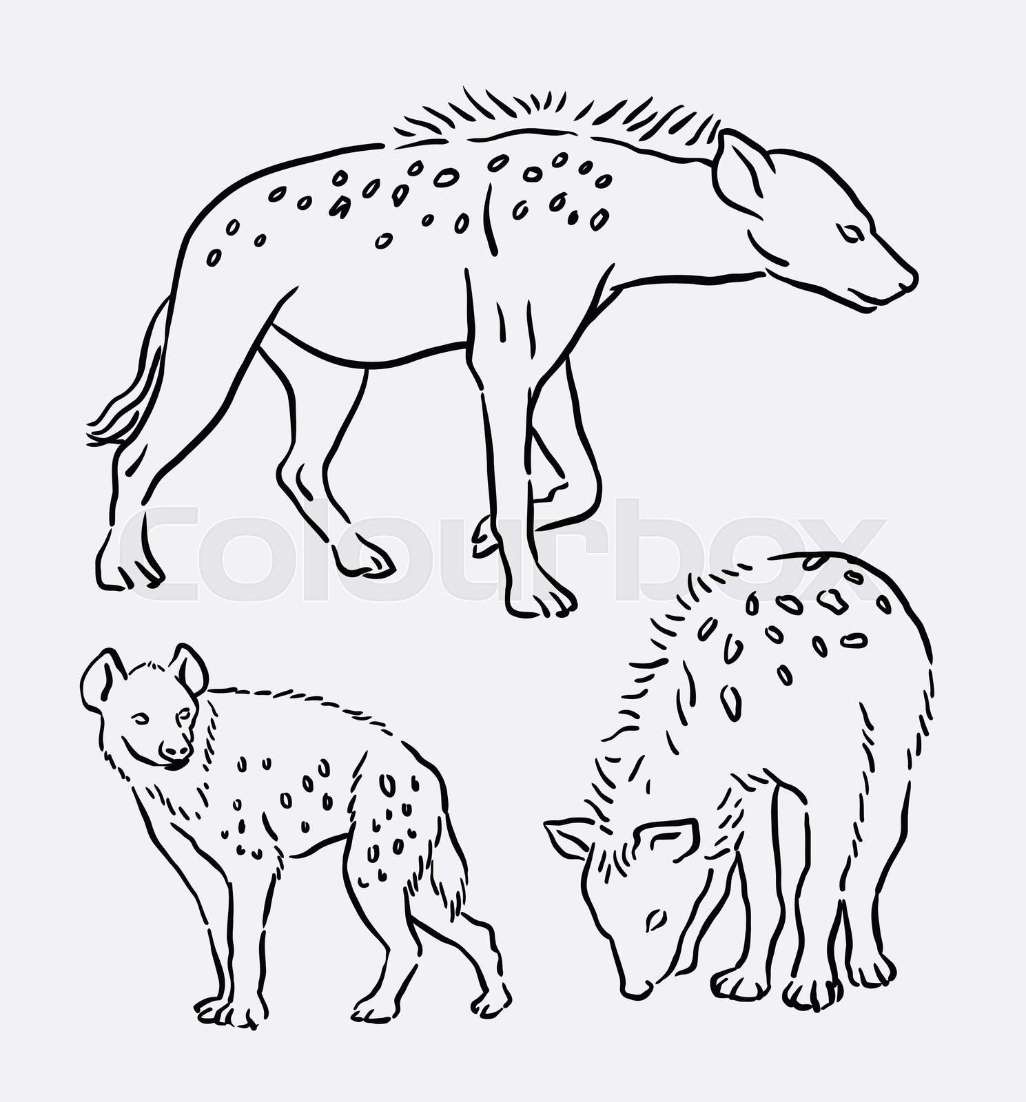 Hyena Clipart Black And White
