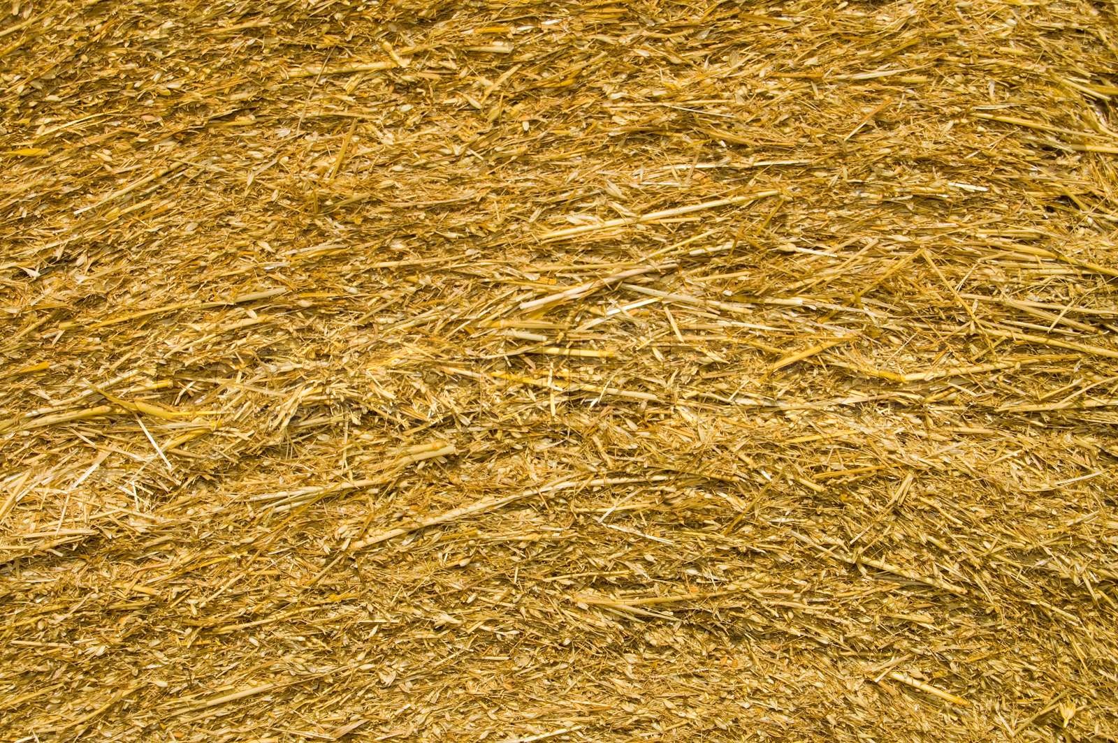 image of pressed straw yellow color closeup Stock image Colourbox