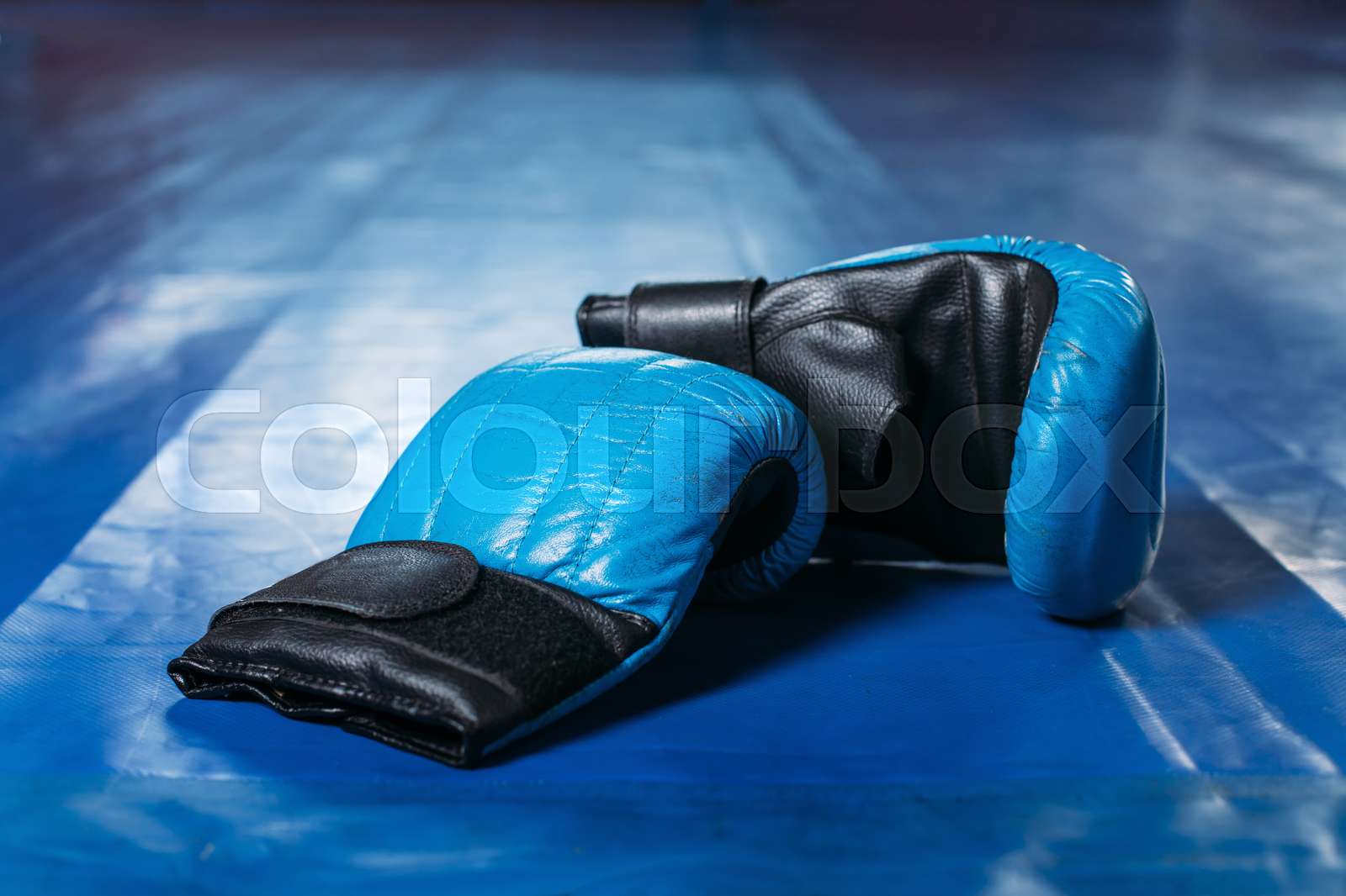Blue Boxing Gloves Wallpaper