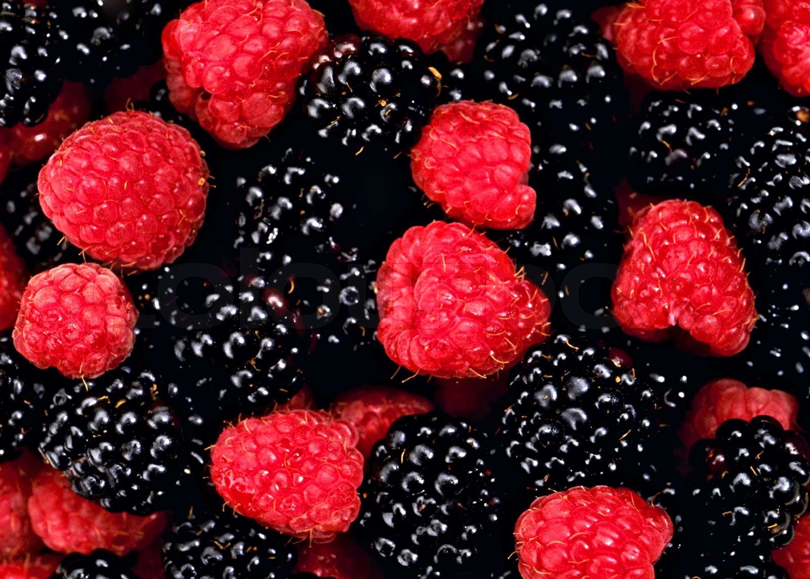 raspberry and blackberry close up Stock image Colourbox