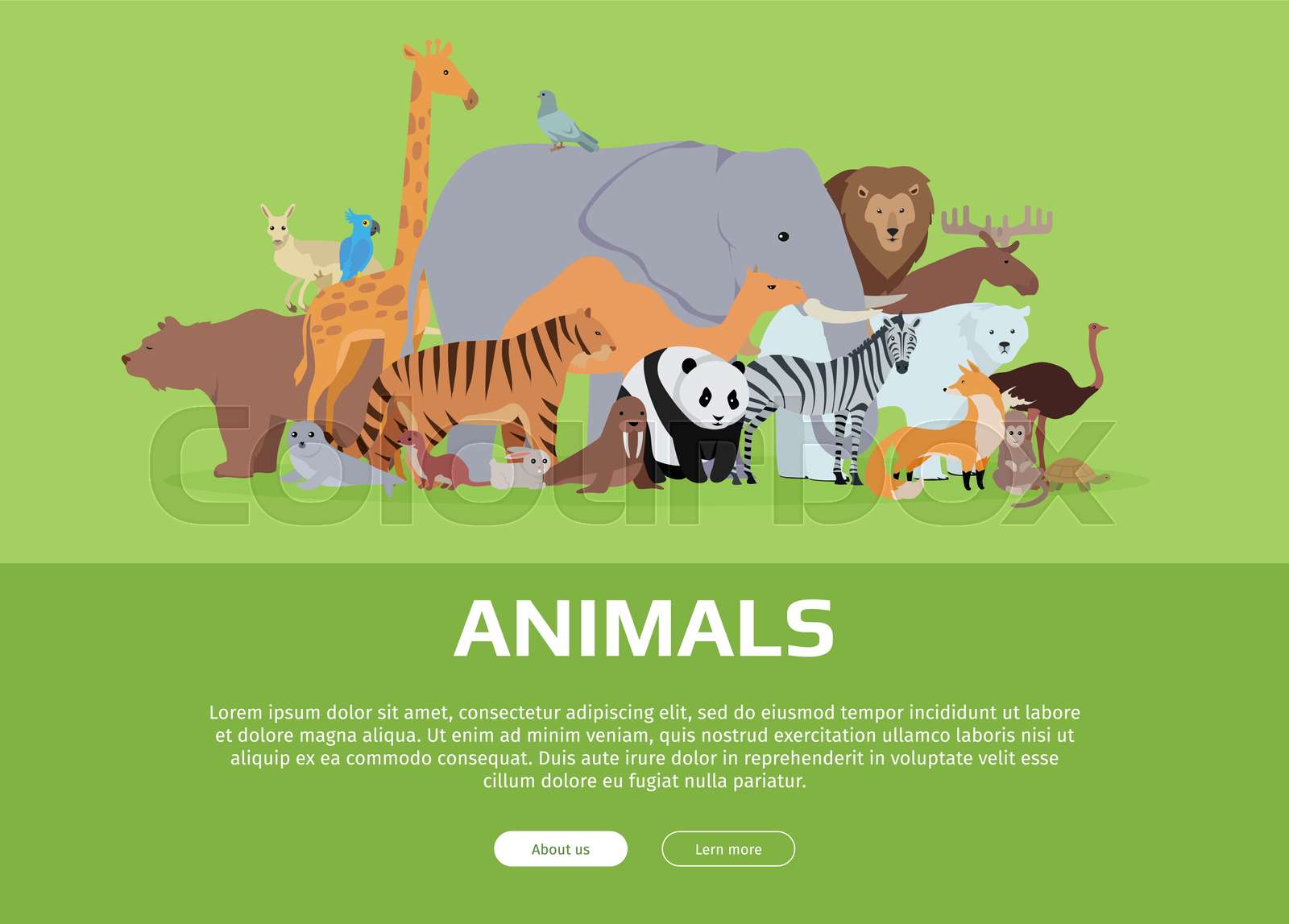 Animals Banner. Website Template | Stock vector | Colourbox