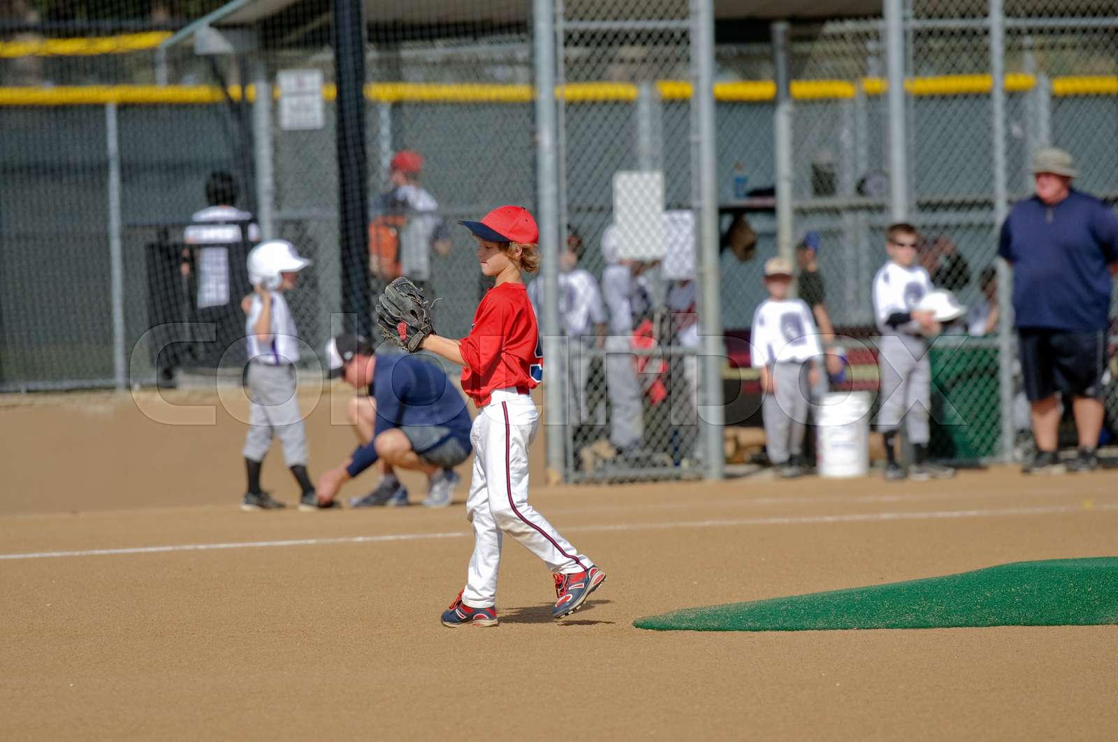 Little league baseball pitcher Stock image Colourbox