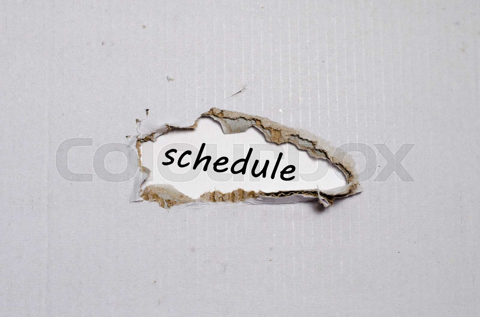 The Word Schedule In Spanish