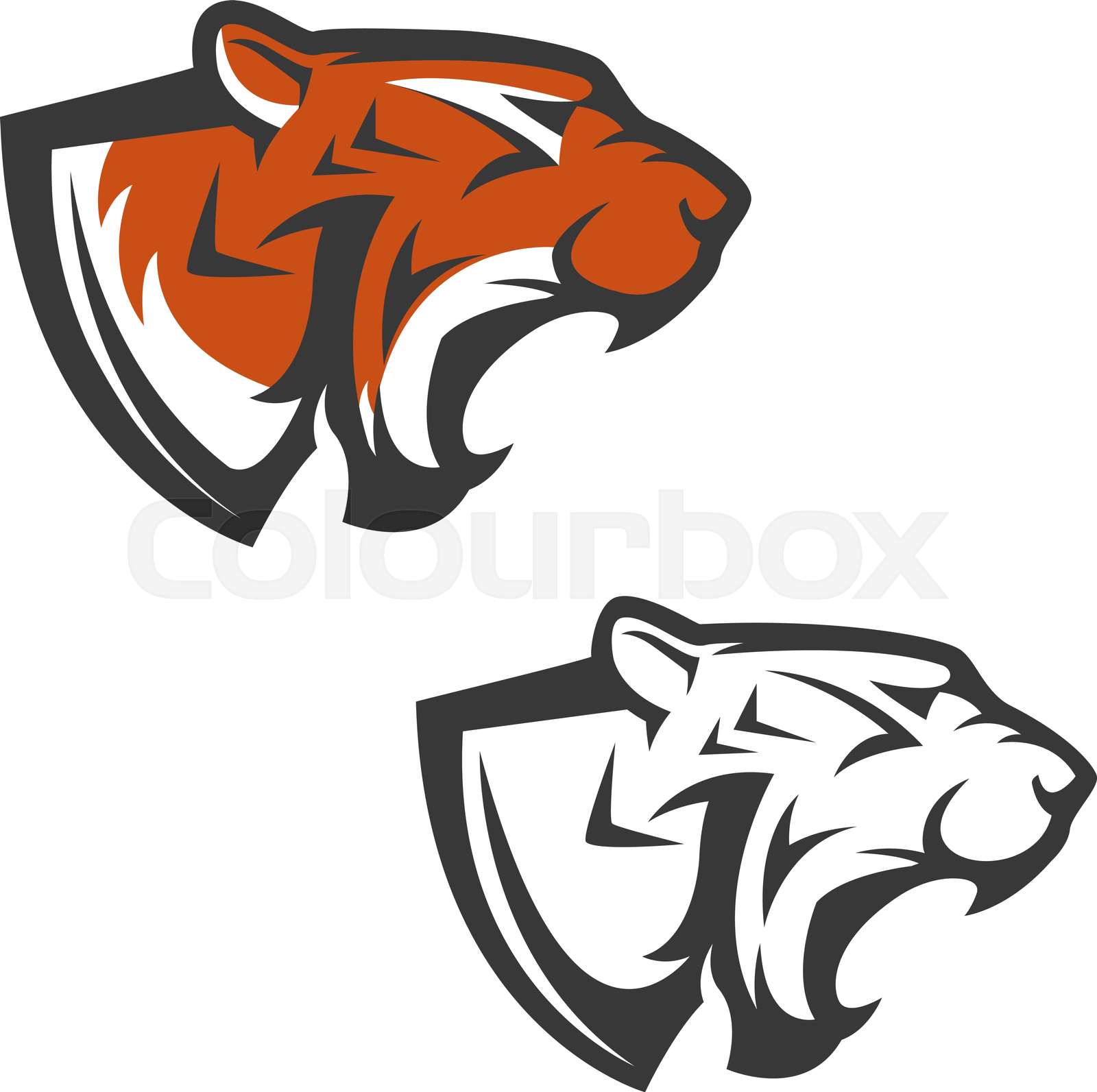 Set of the tiger heads. Sport team mascot. Design element for logo ...