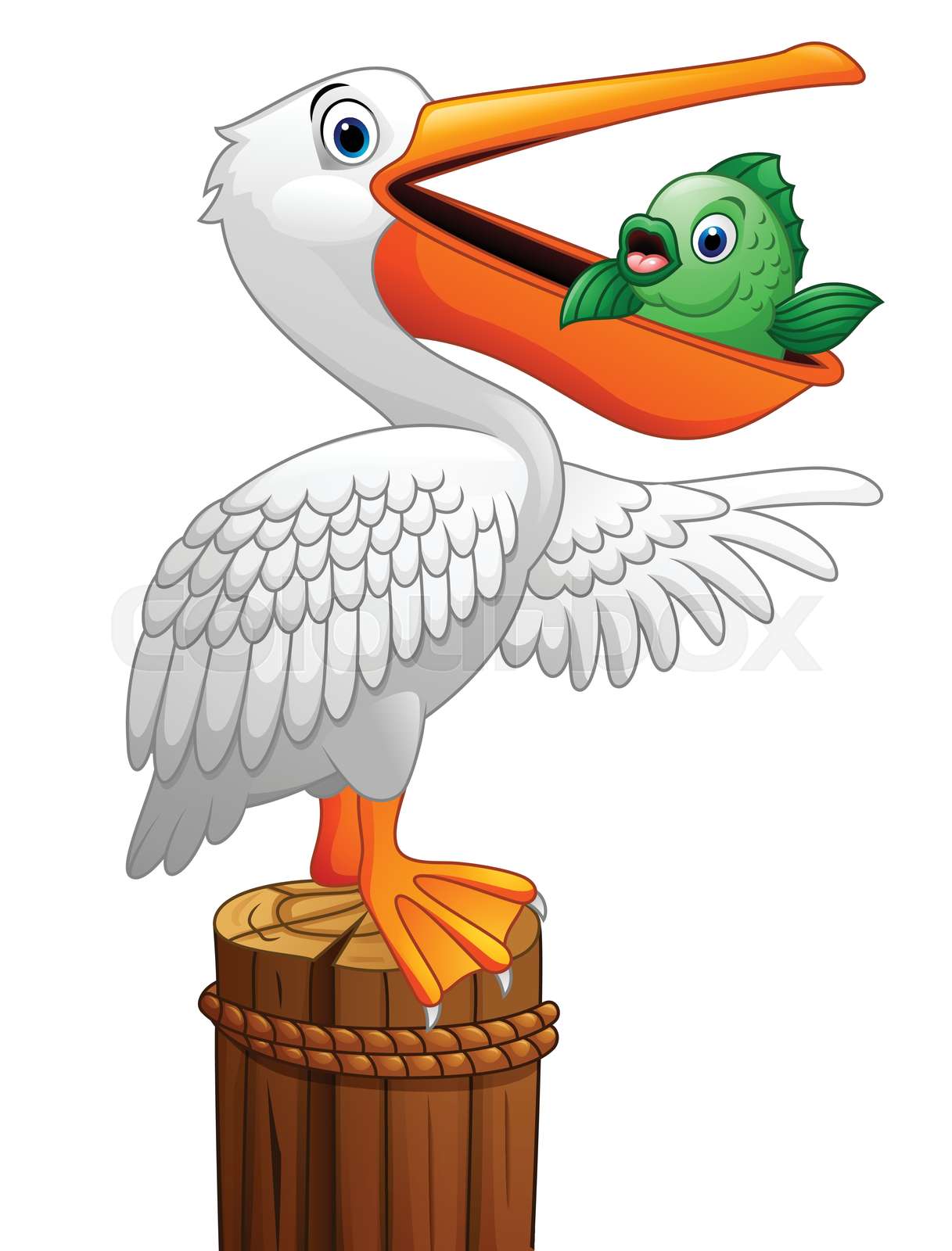 Pelican eating fish | Stock vector | Colourbox
