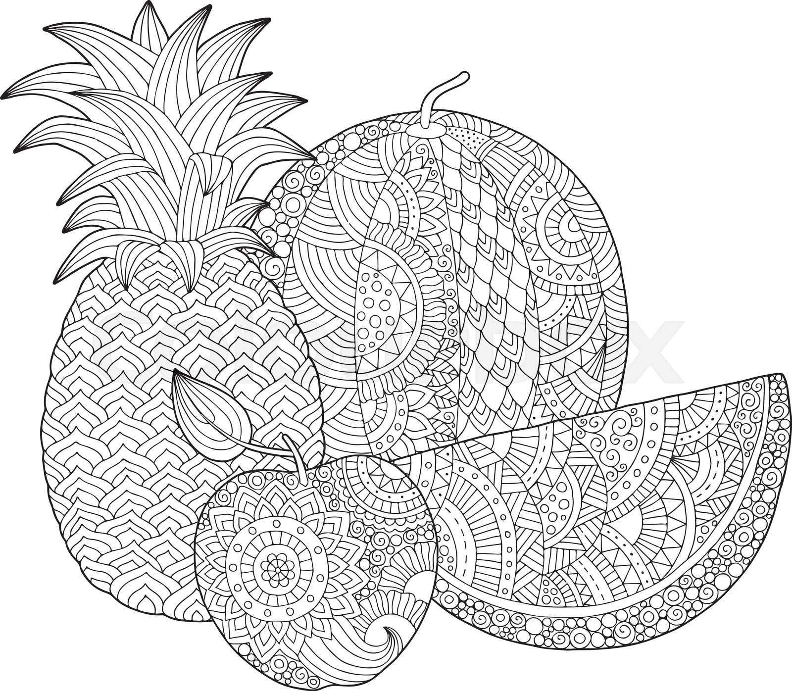 Vector hand drawn pineapple, watermelon, apple illustration for adult ...
