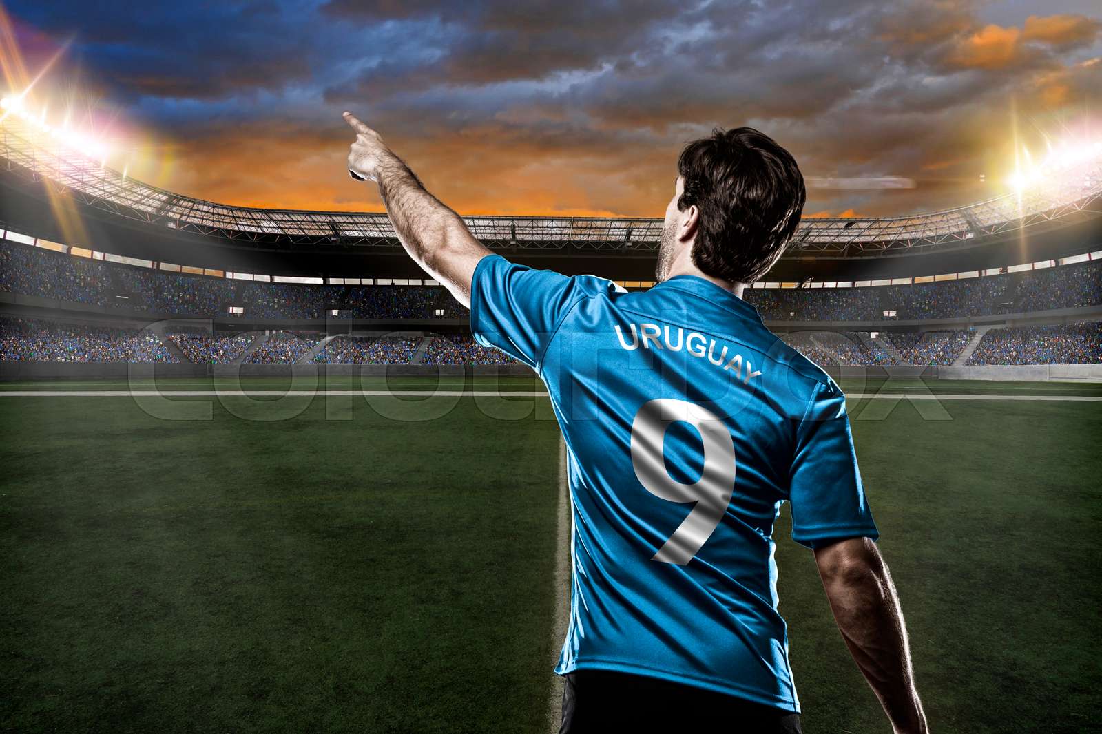 Uruguayan Soccer Player Stock Image Colourbox