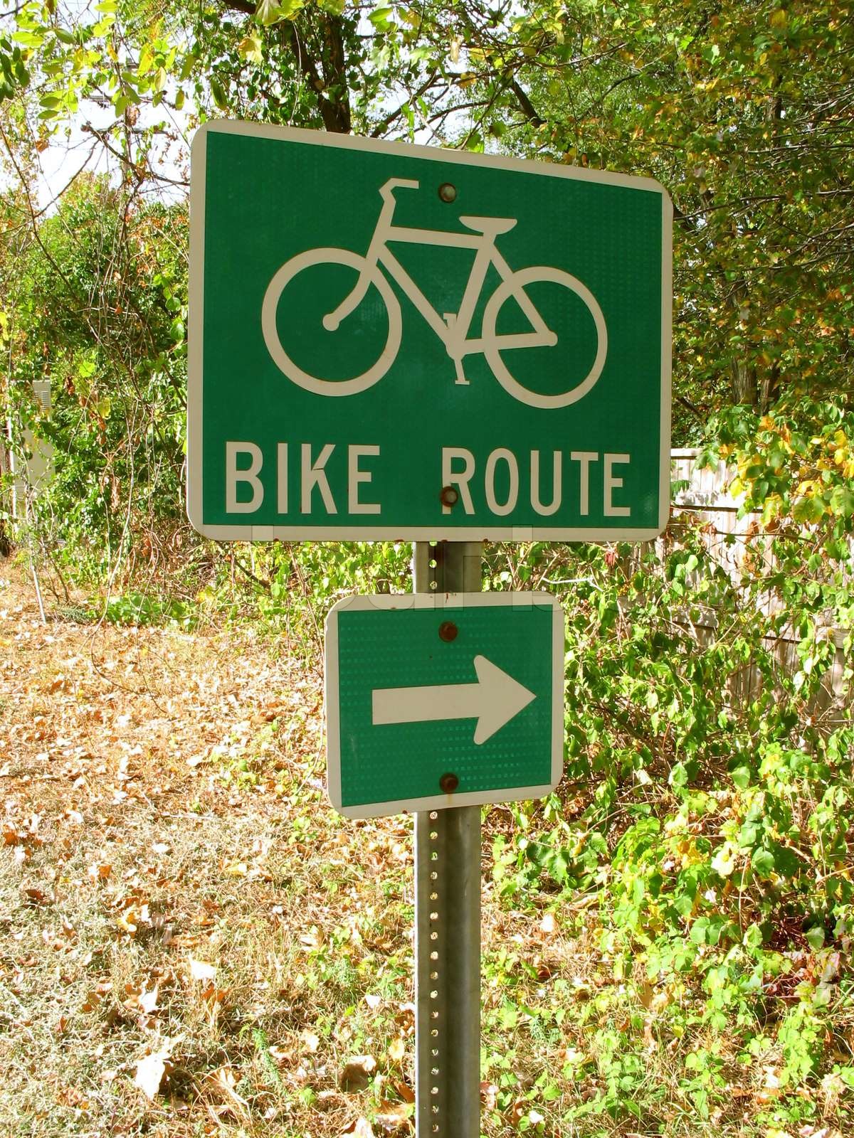 A Green Bike Route Sign On The Side Of The Road Stock Image Colourbox