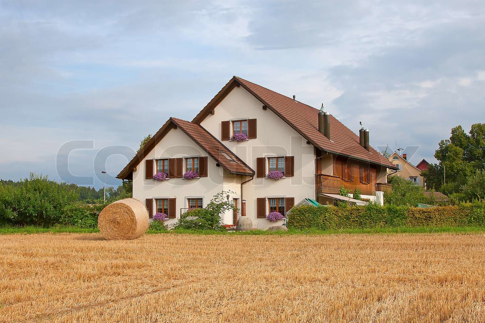 Swiss Rural Typical swiss rural landscape with farm house and packed hay | Stock ...