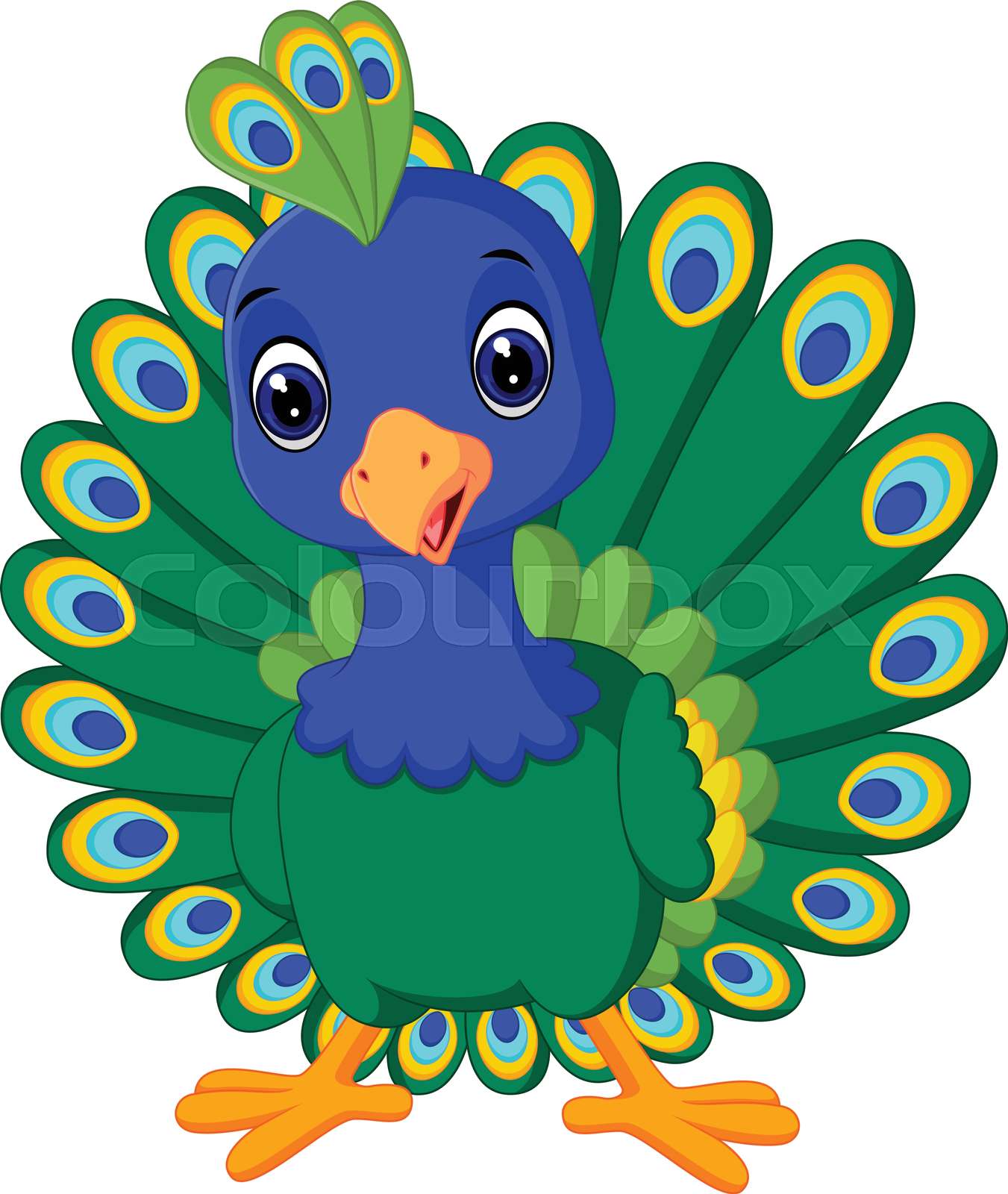 Beautiful peacock | Stock vector | Colourbox