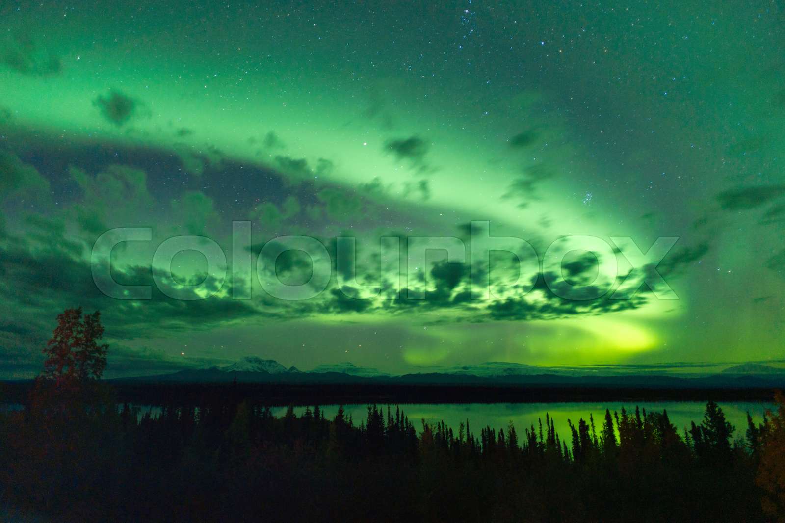 Willow Lake Northern Lights Aurora Borealis Alaska Night Sky Stock
