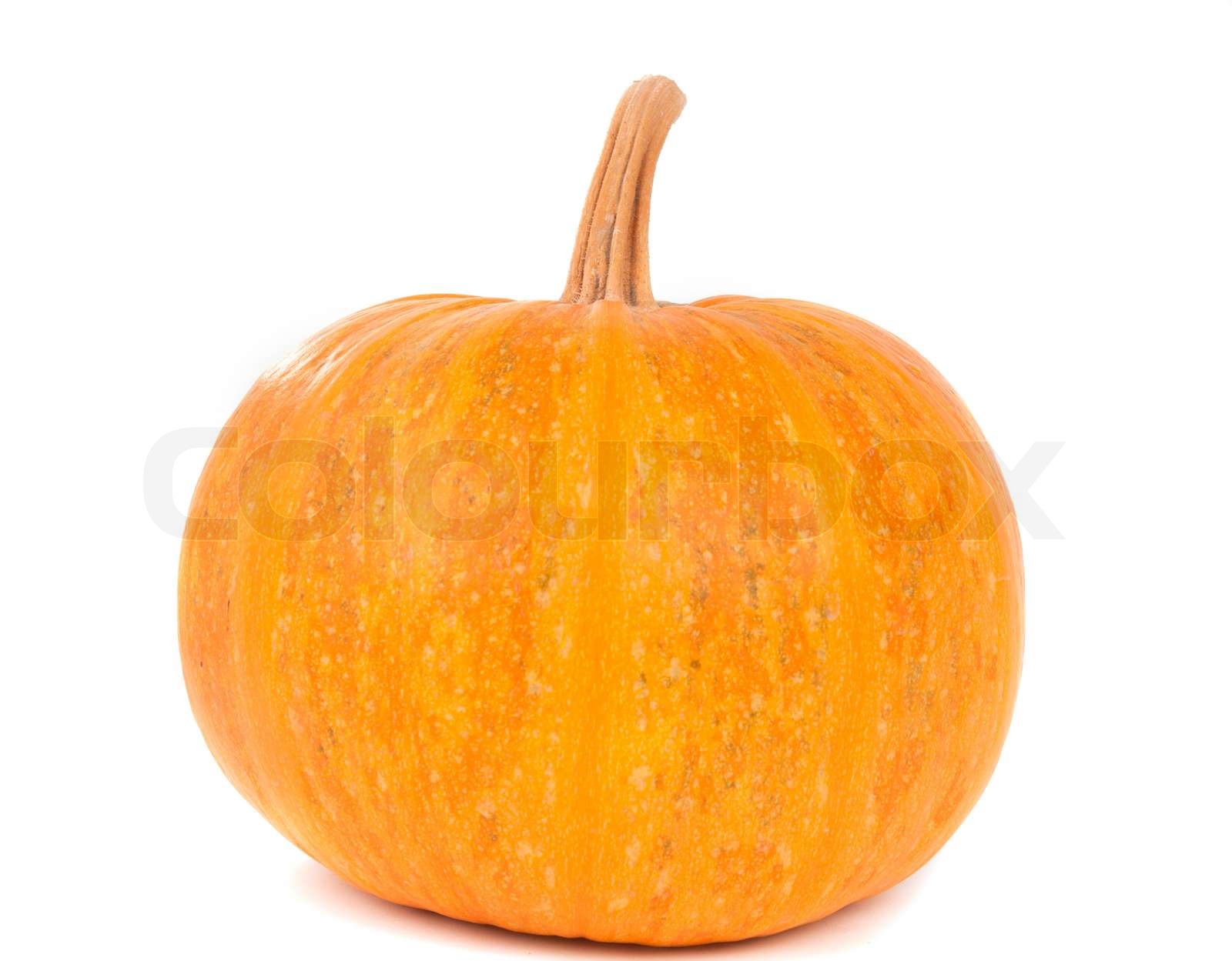 gelber Kürbis auf einem weißen Hintergrund | Stock Bild | Colourbox