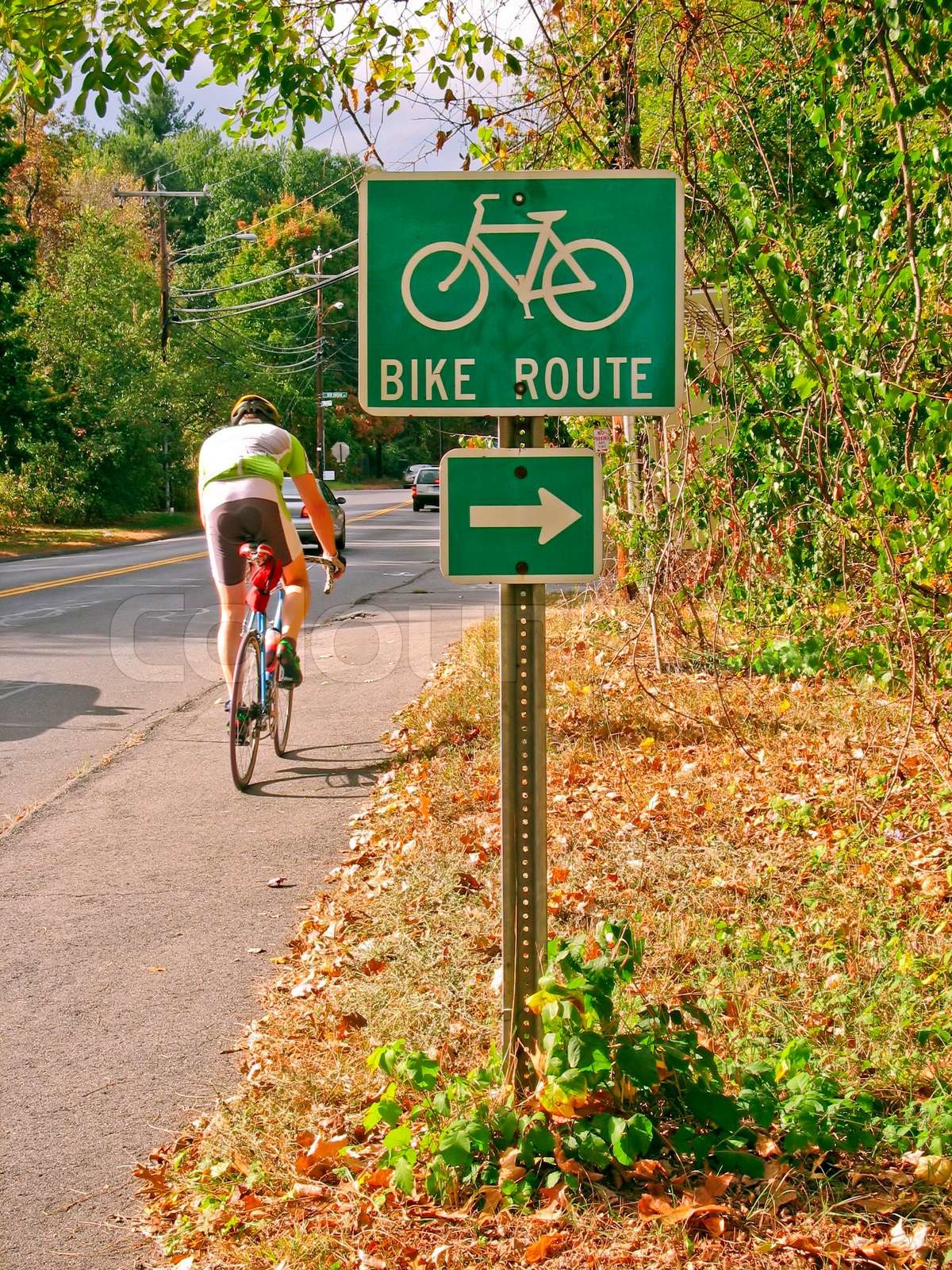 a-green-bike-route-sign-on-the-side-of-the-road-stock-image-colourbox
