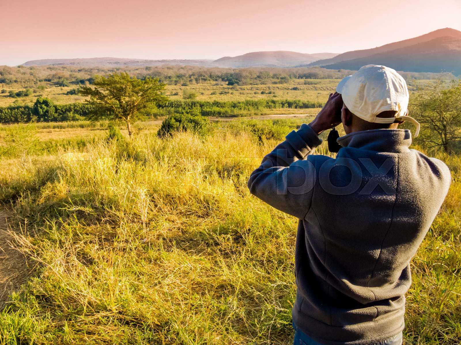 South Africa, ranger looking through binoculars in search of animals ...