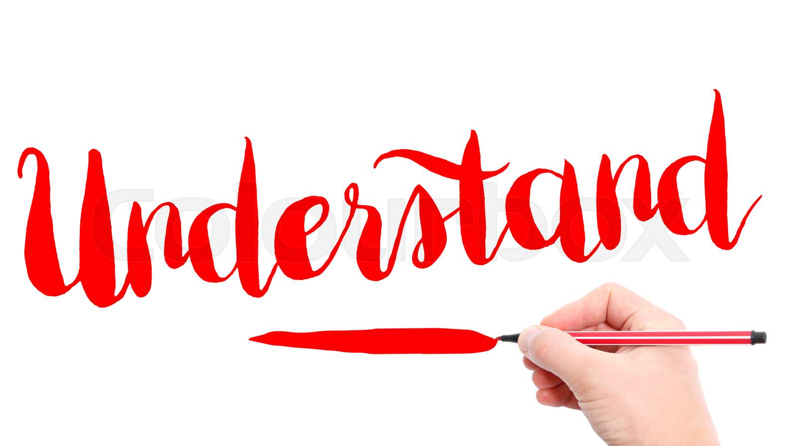 WHAT UNDERSTAND MEANS intelligence overview