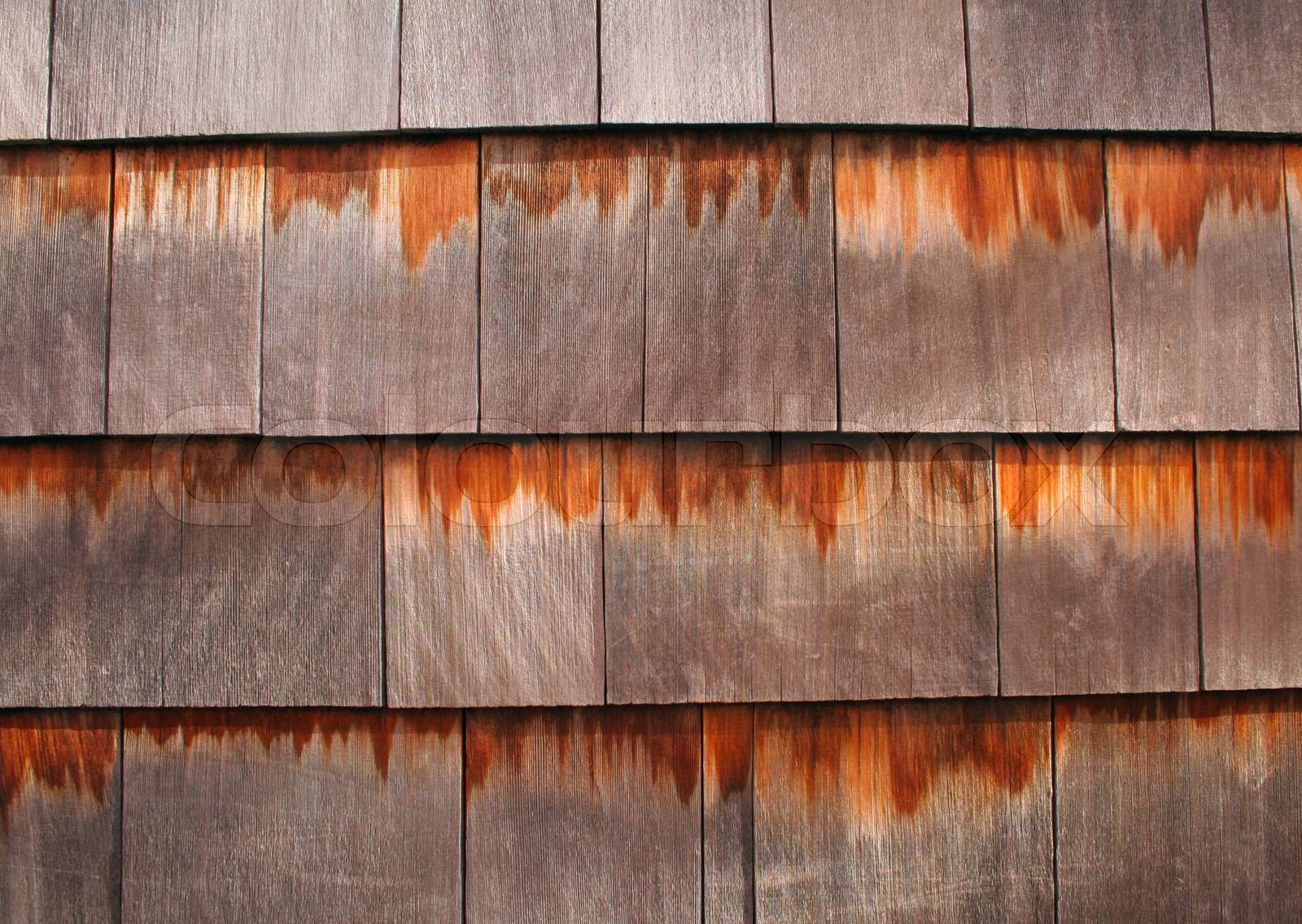 Background texture of wooden cedar shingles | Stock image | Colourbox