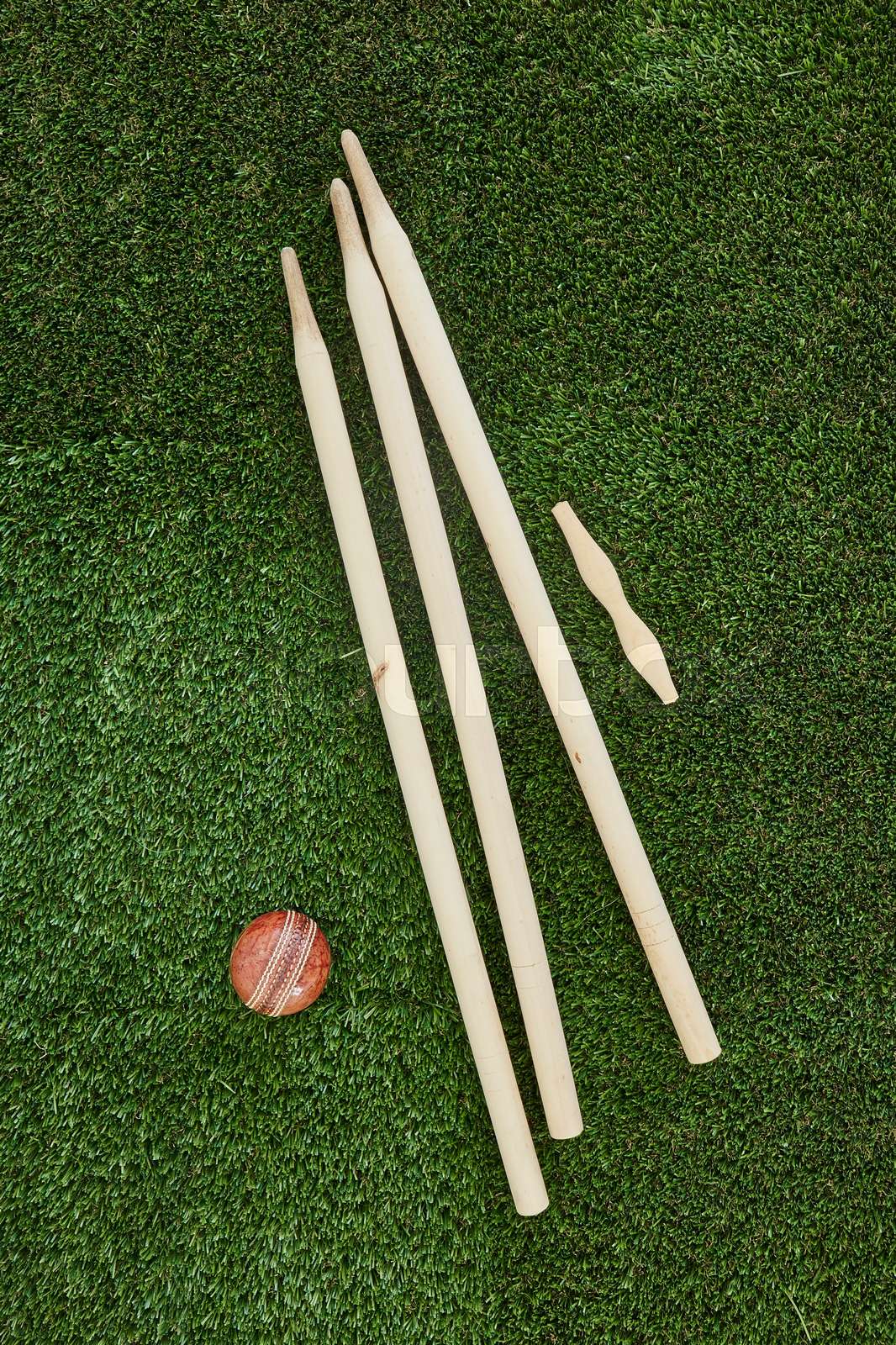 Cricket Equipment Stock image Colourbox